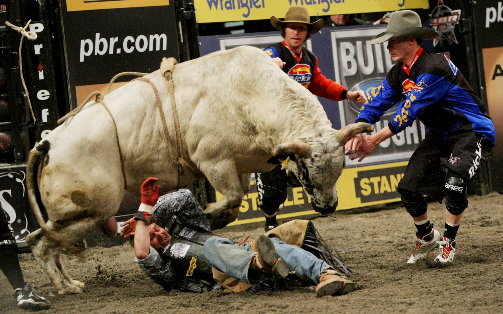 1486766 Bild herunterladen sport, bullenreiten - Hintergrundbilder und Bildschirmschoner kostenlos