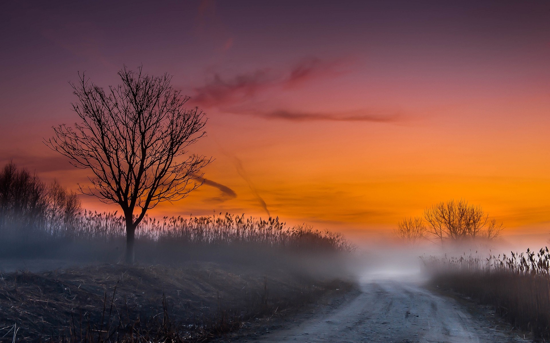 Descarga gratuita de fondo de pantalla para móvil de Niebla, Tierra/naturaleza.