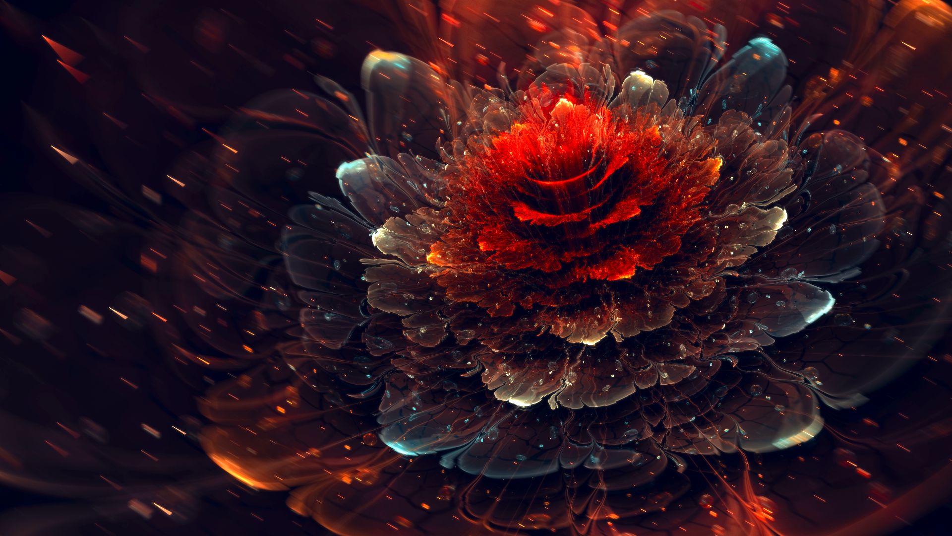 Free download wallpaper Abstract, Flower, Fractal on your PC desktop