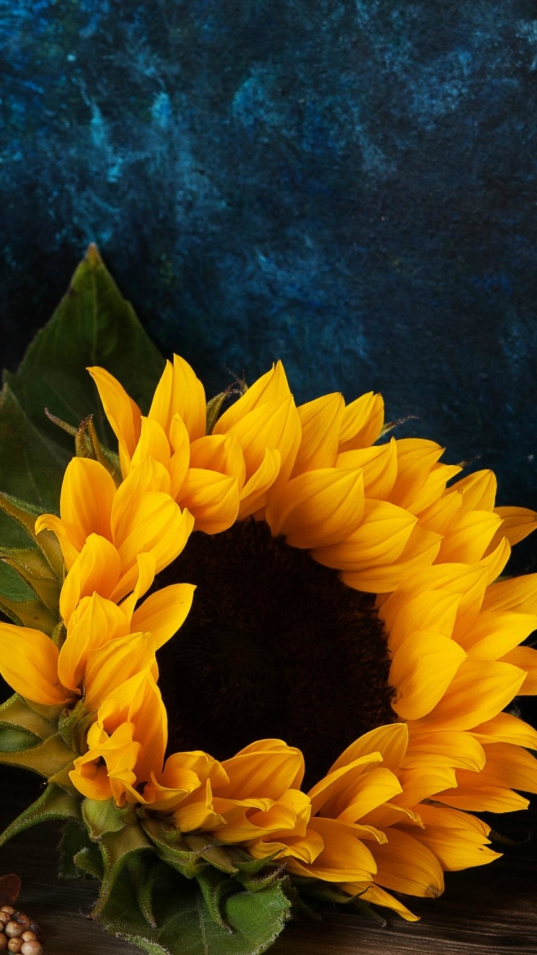 Download mobile wallpaper Still Life, Fall, Sunflower, Candle, Photography, Gourd for free.