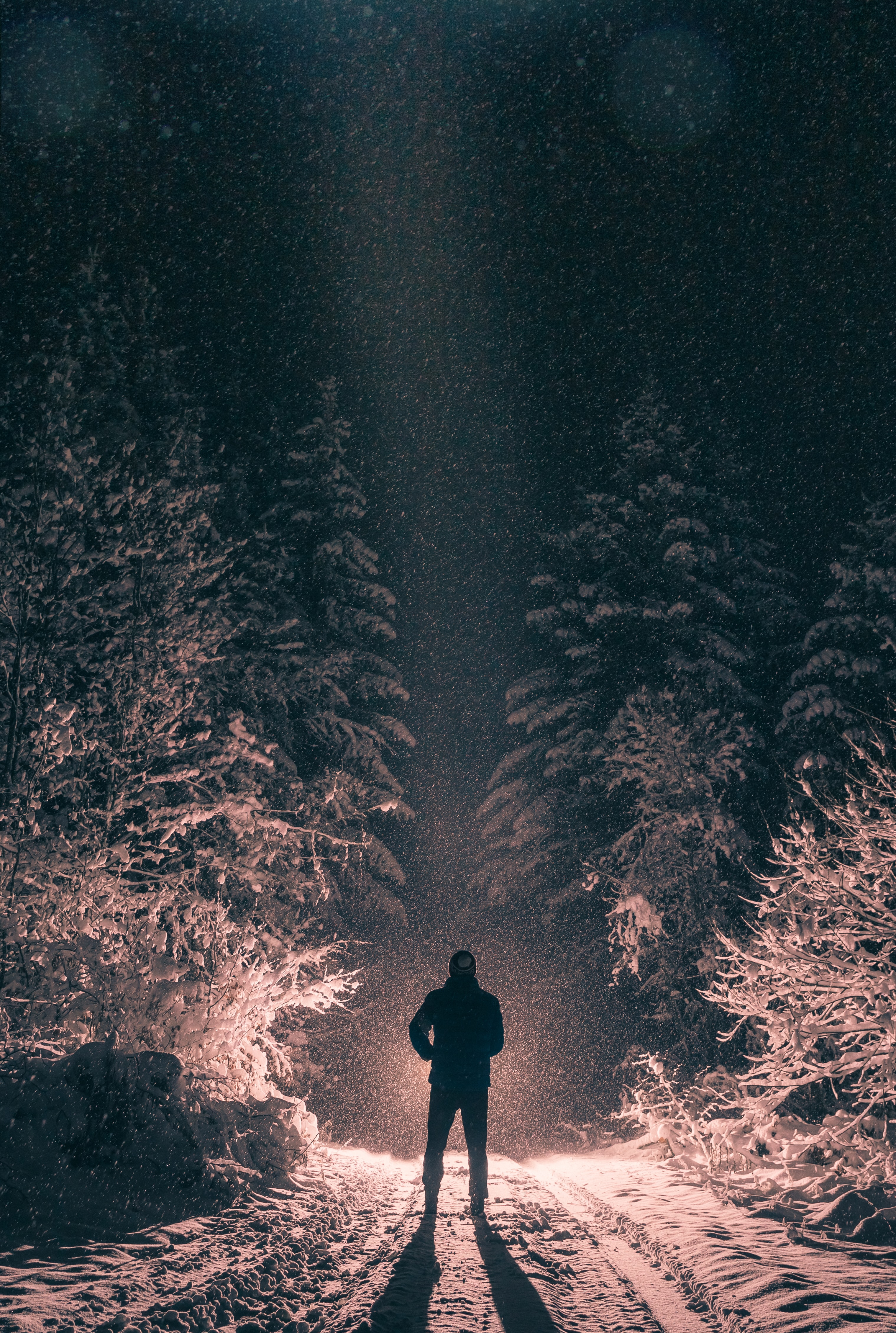 Free download wallpaper Winter, Snow, Shine, Light, Miscellanea, Human, Person, Miscellaneous, Loneliness, Dark, Forest on your PC desktop