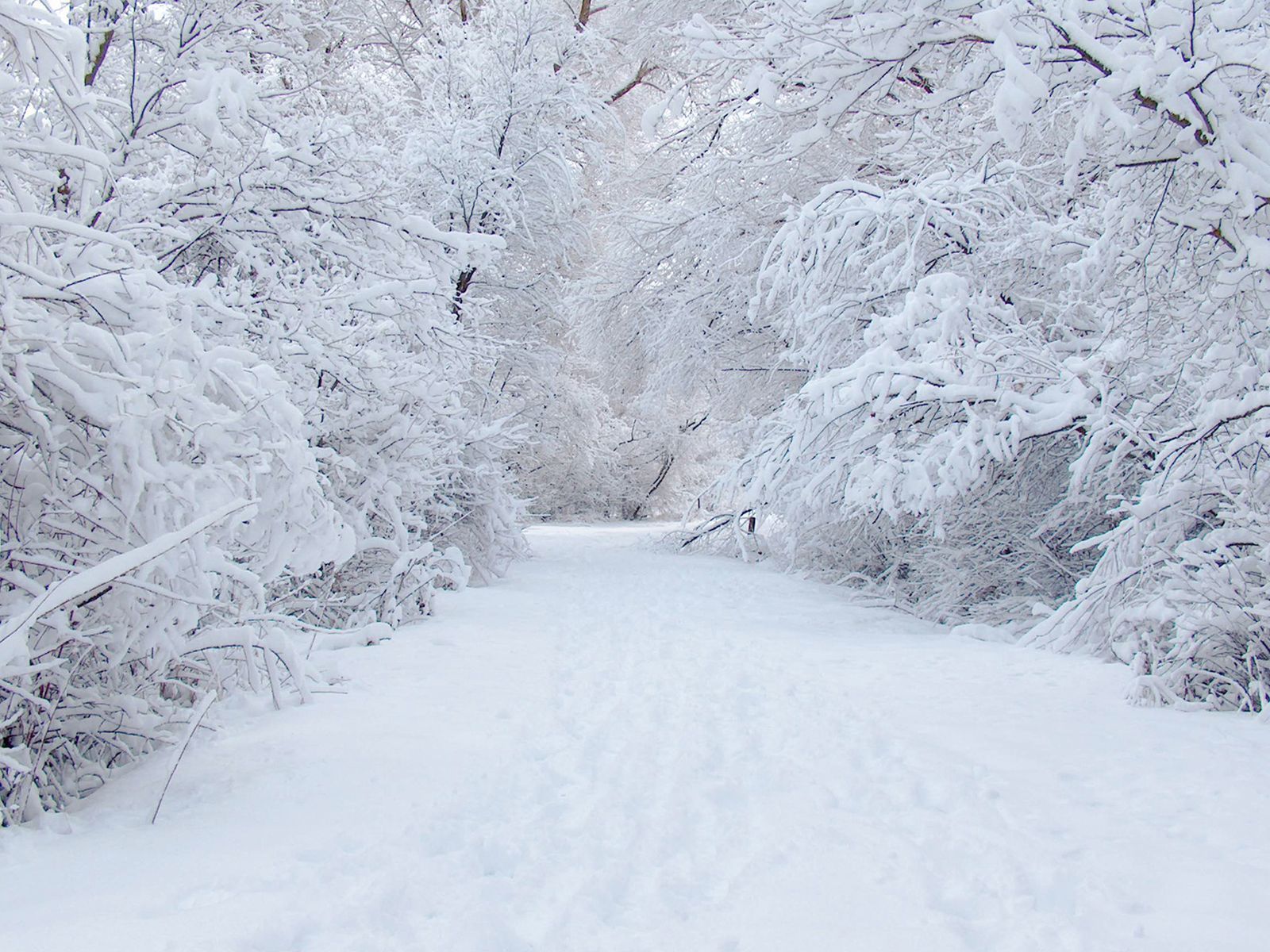 Скачать обои бесплатно Снег, Пейзаж, Зима картинка на рабочий стол ПК