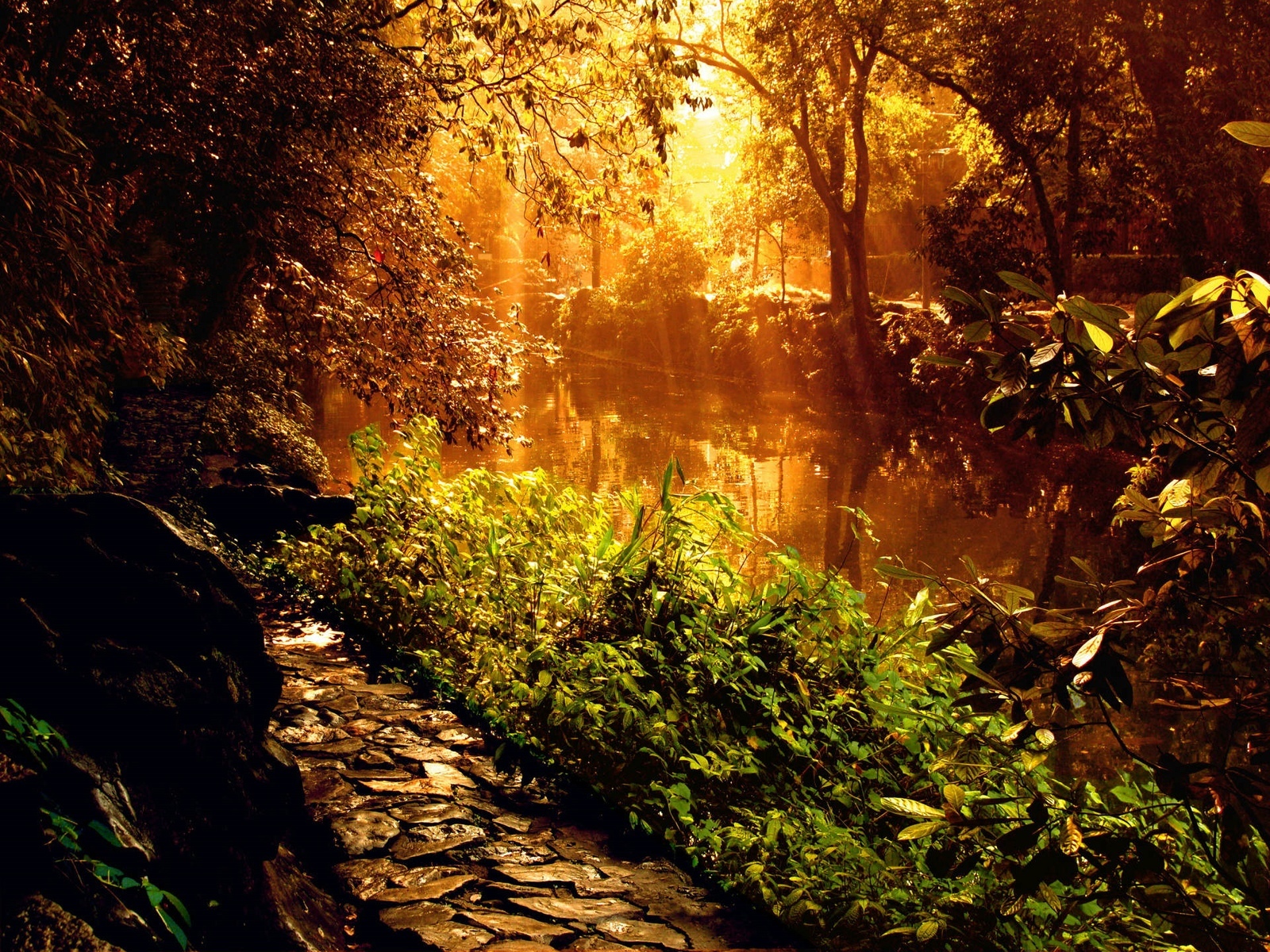 Download mobile wallpaper Rivers, Landscape, Trees for free.
