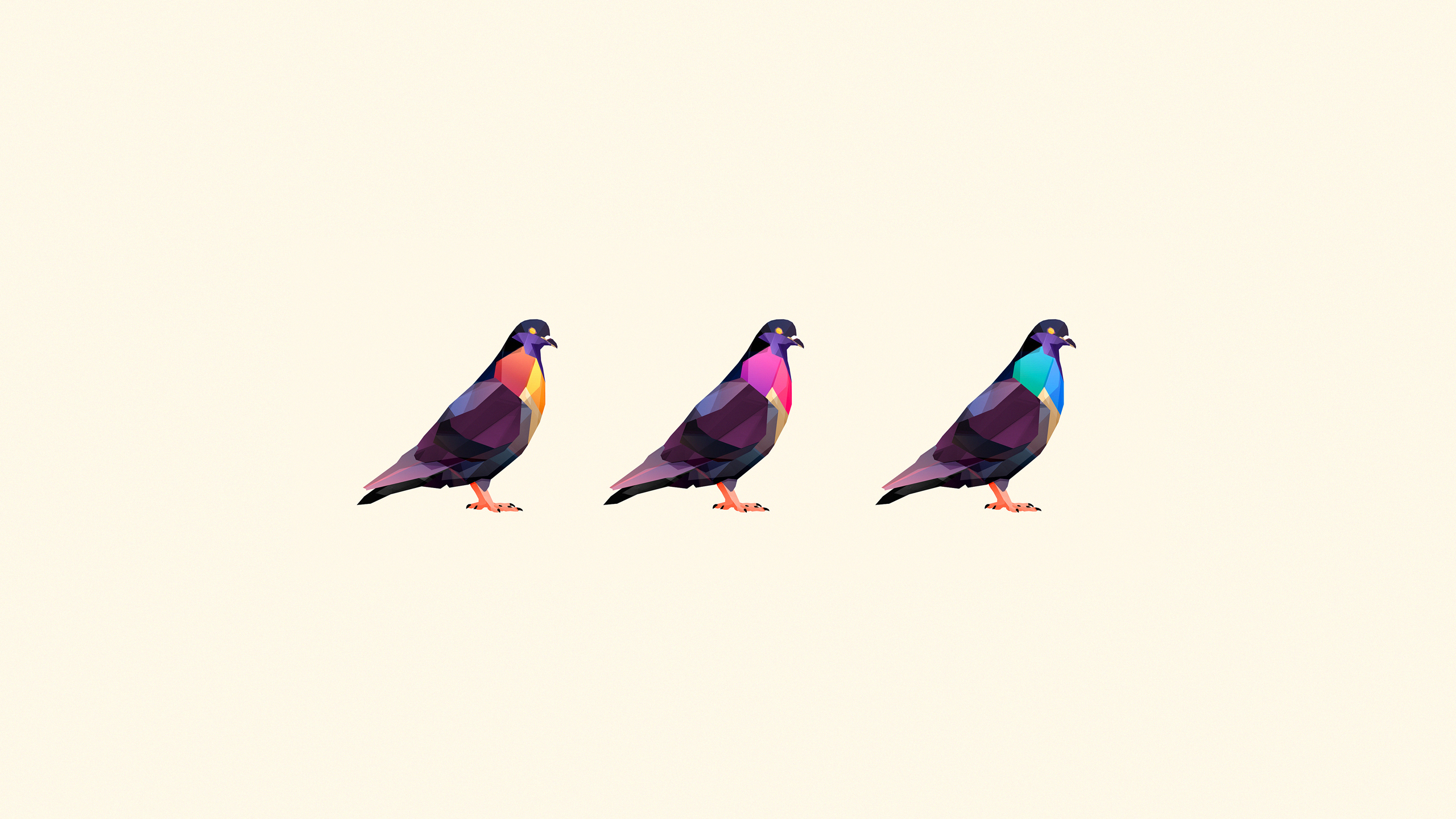 Free download wallpaper Birds, Animal, Pigeon on your PC desktop