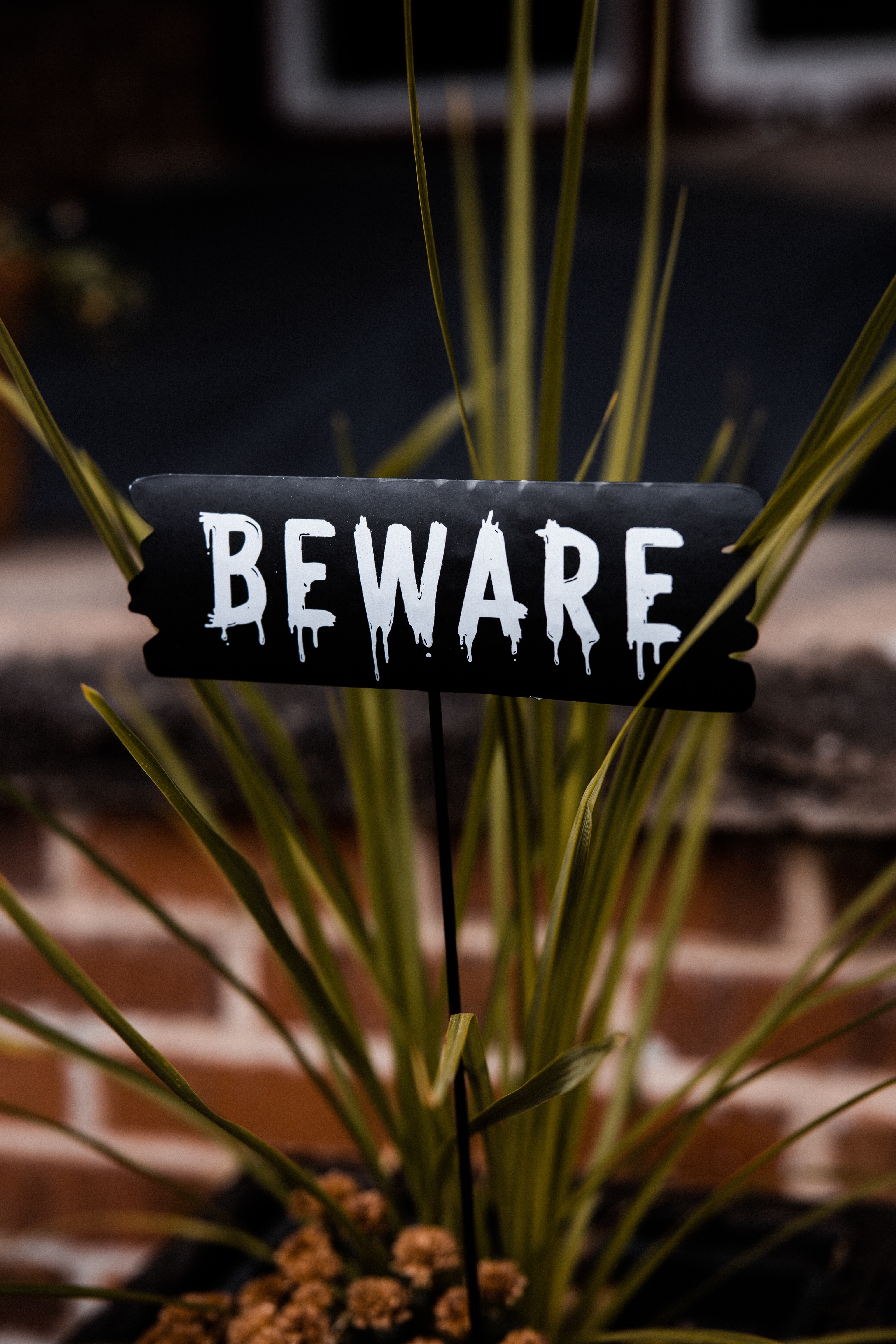 nameplate, warning, words, word, inscription, plate, text, beware