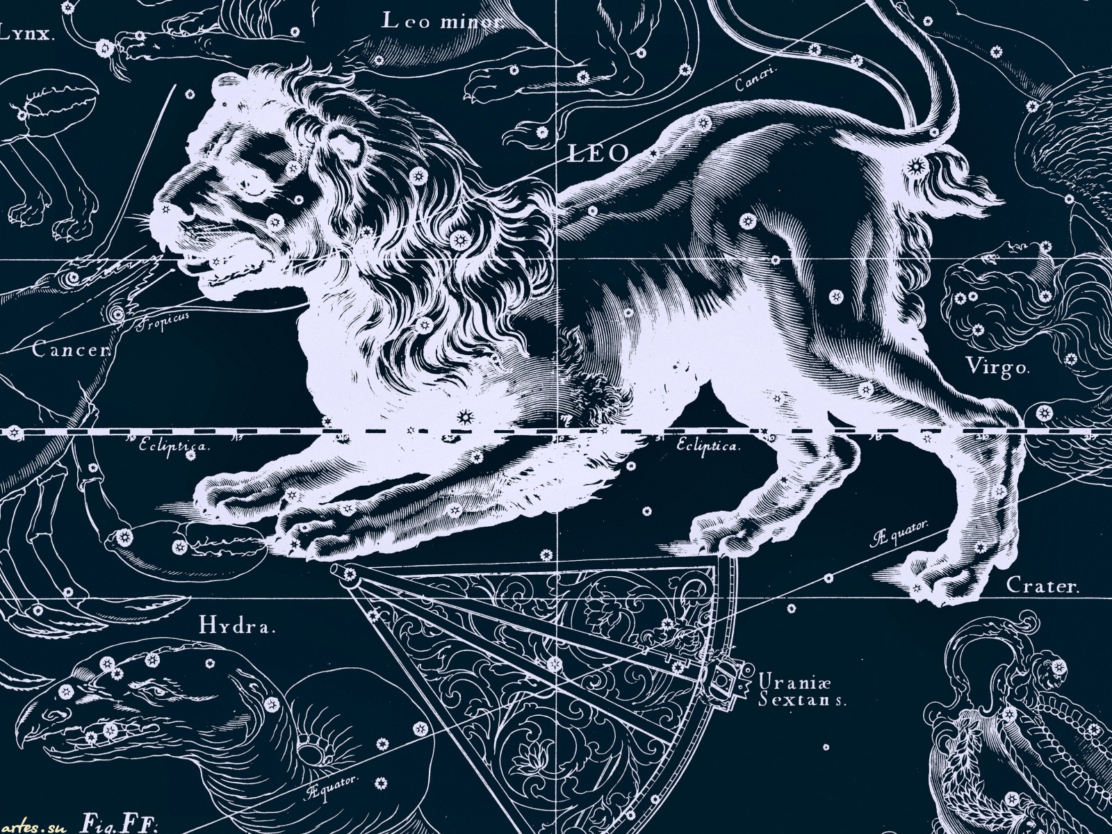 546868 скачать обои знак зодиака, лев (астрология), фэнтези, зодиак, гороскоп - заставки и картинки бесплатно