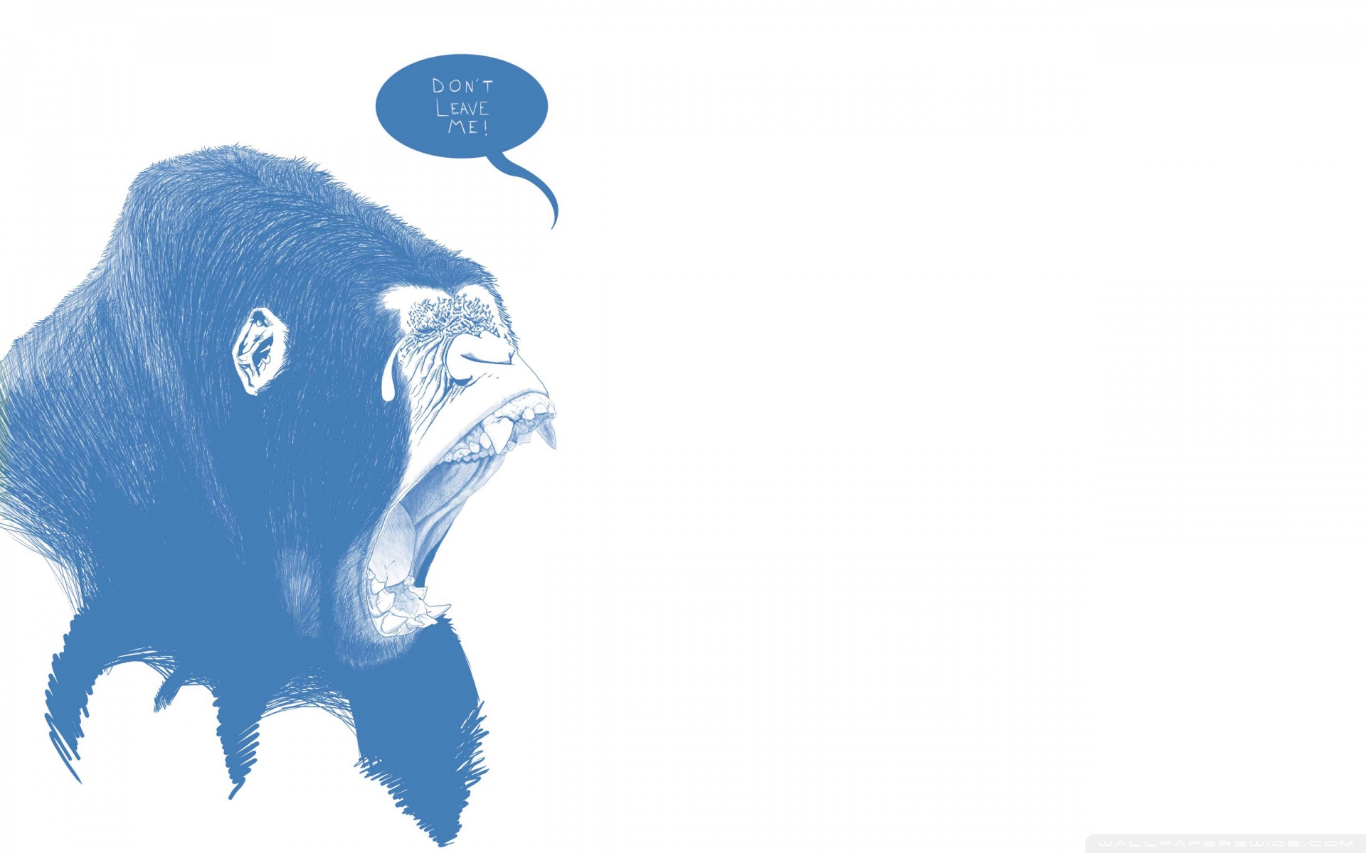 Desktop FHD animal, gorilla, monkeys