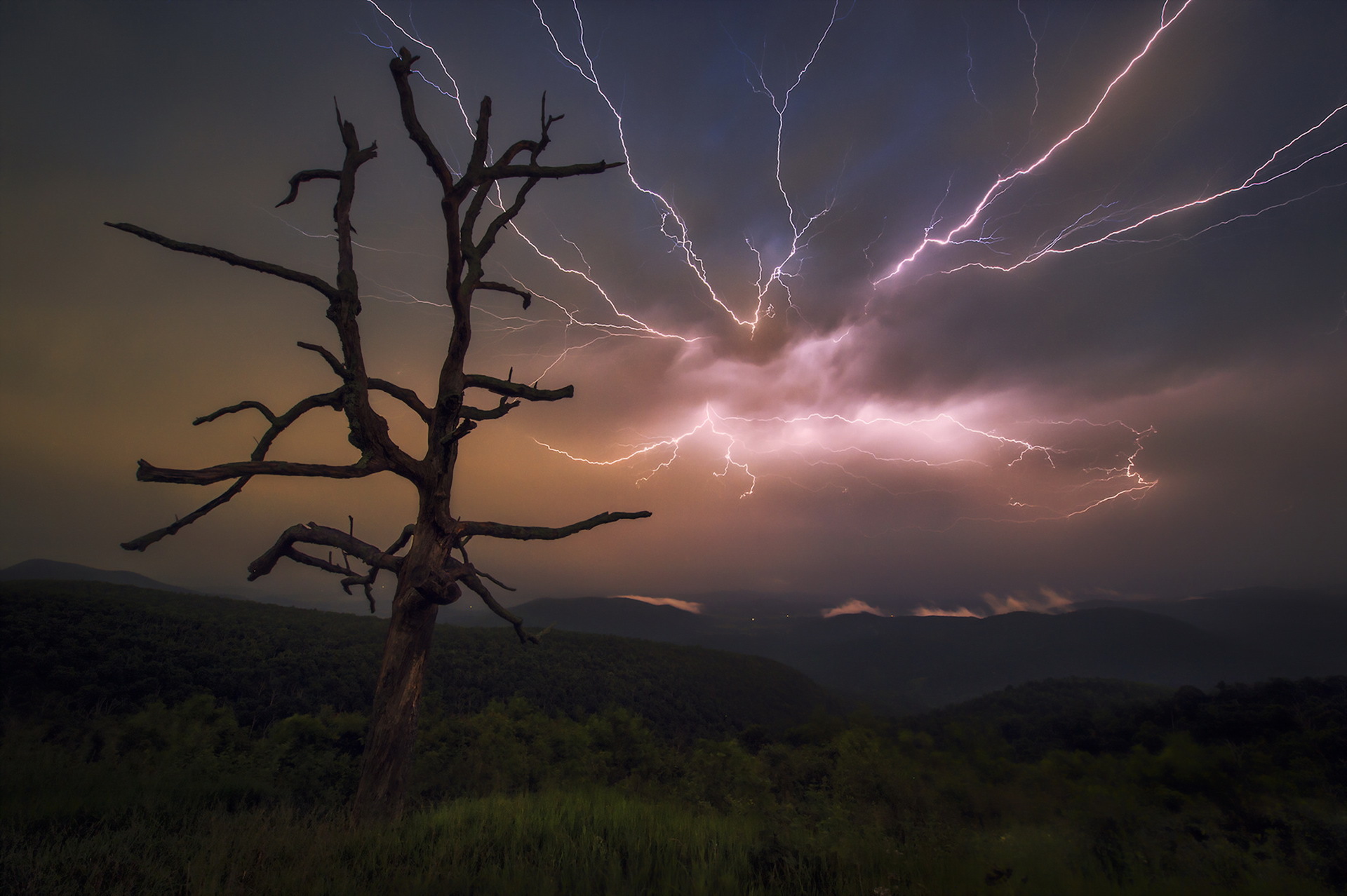 Free download wallpaper Landscape, Nature, Sky, Night, Lightning, Tree, Storm, Photography, Lonely Tree on your PC desktop