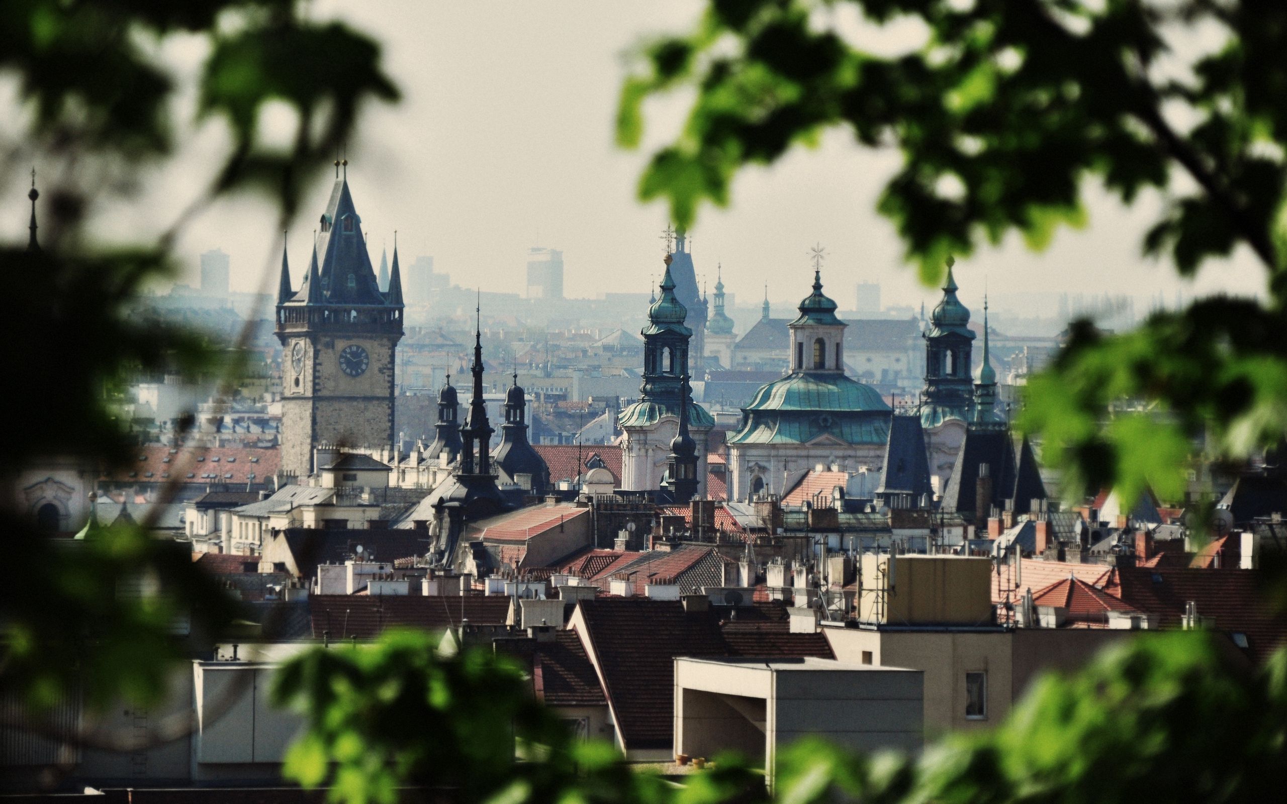 prague, cities, trees, city, building, czech republic, czechia phone background