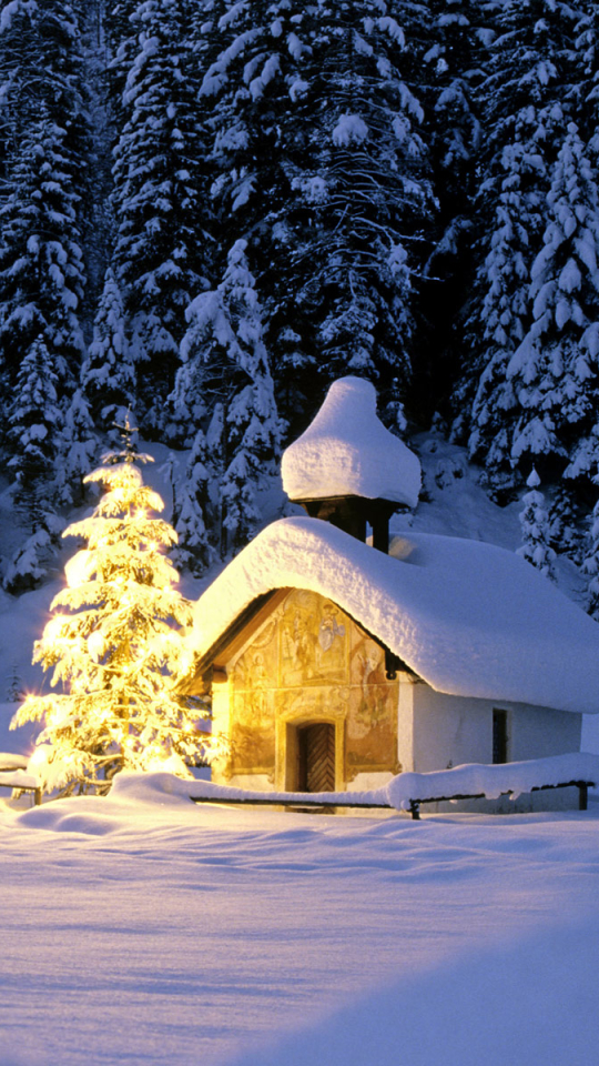Download mobile wallpaper Snow, Forest, Tree, Christmas, Holiday, Christmas Tree, Church for free.
