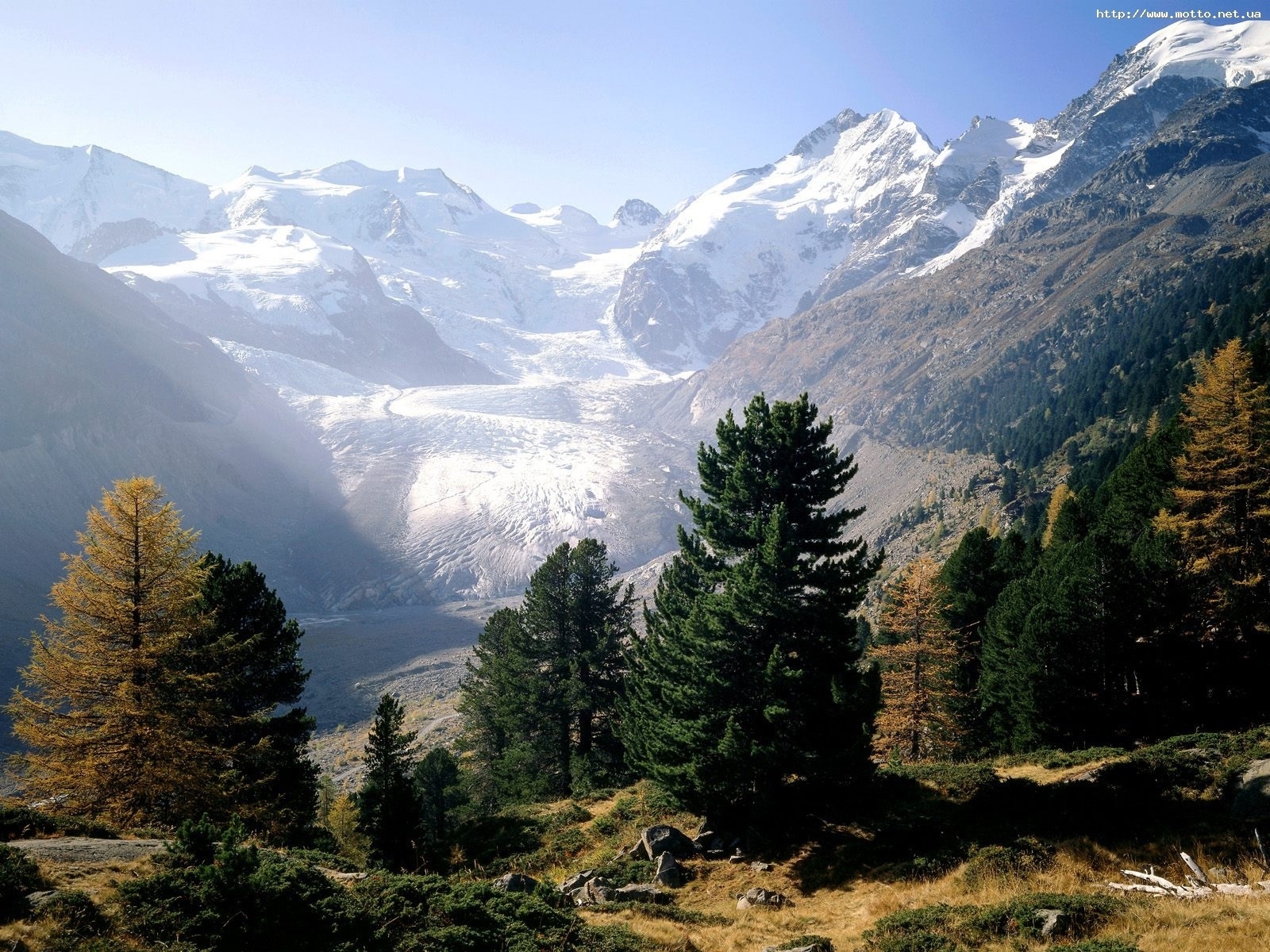 PCデスクトップに風景, 山脈, モミの木画像を無料でダウンロード