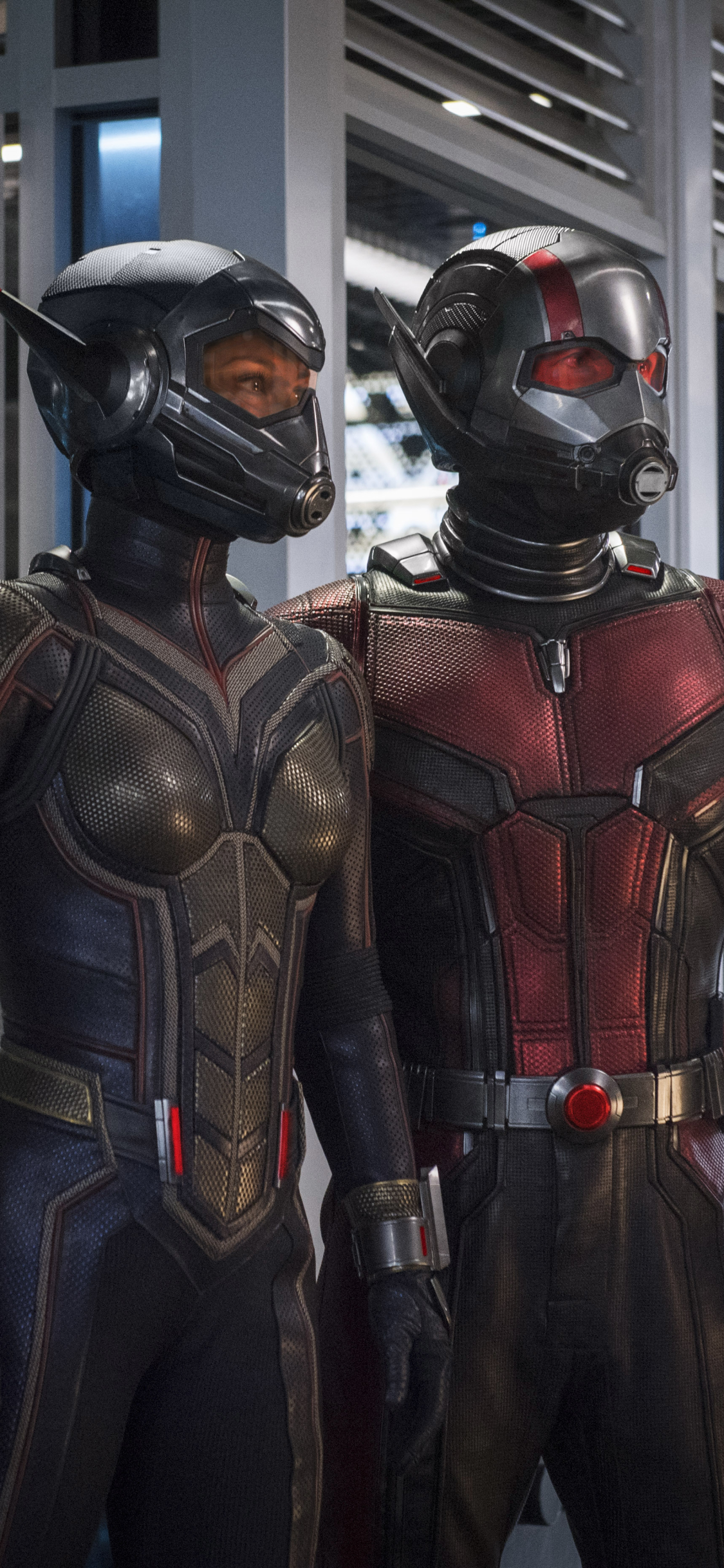 Download mobile wallpaper Movie, Wasp (Marvel Comics), Evangeline Lilly, Ant Man, Paul Rudd, Ant Man And The Wasp for free.