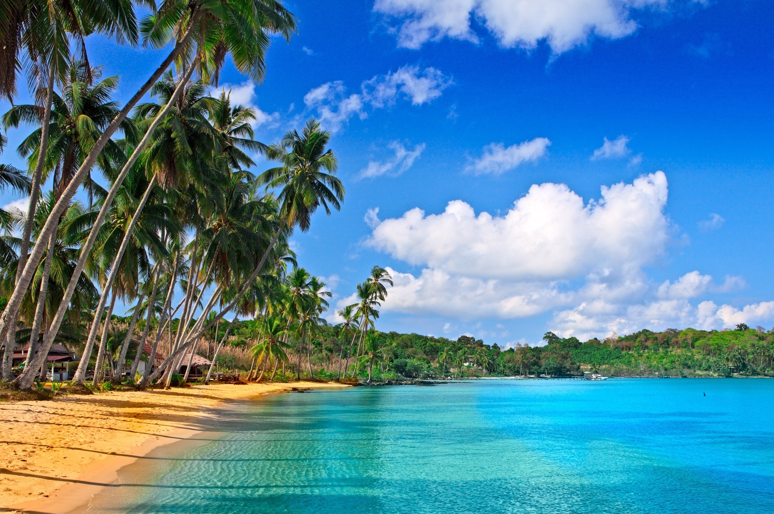 Free download wallpaper Landscape, Sky, Clouds, Sea, Palms, Beach on your PC desktop