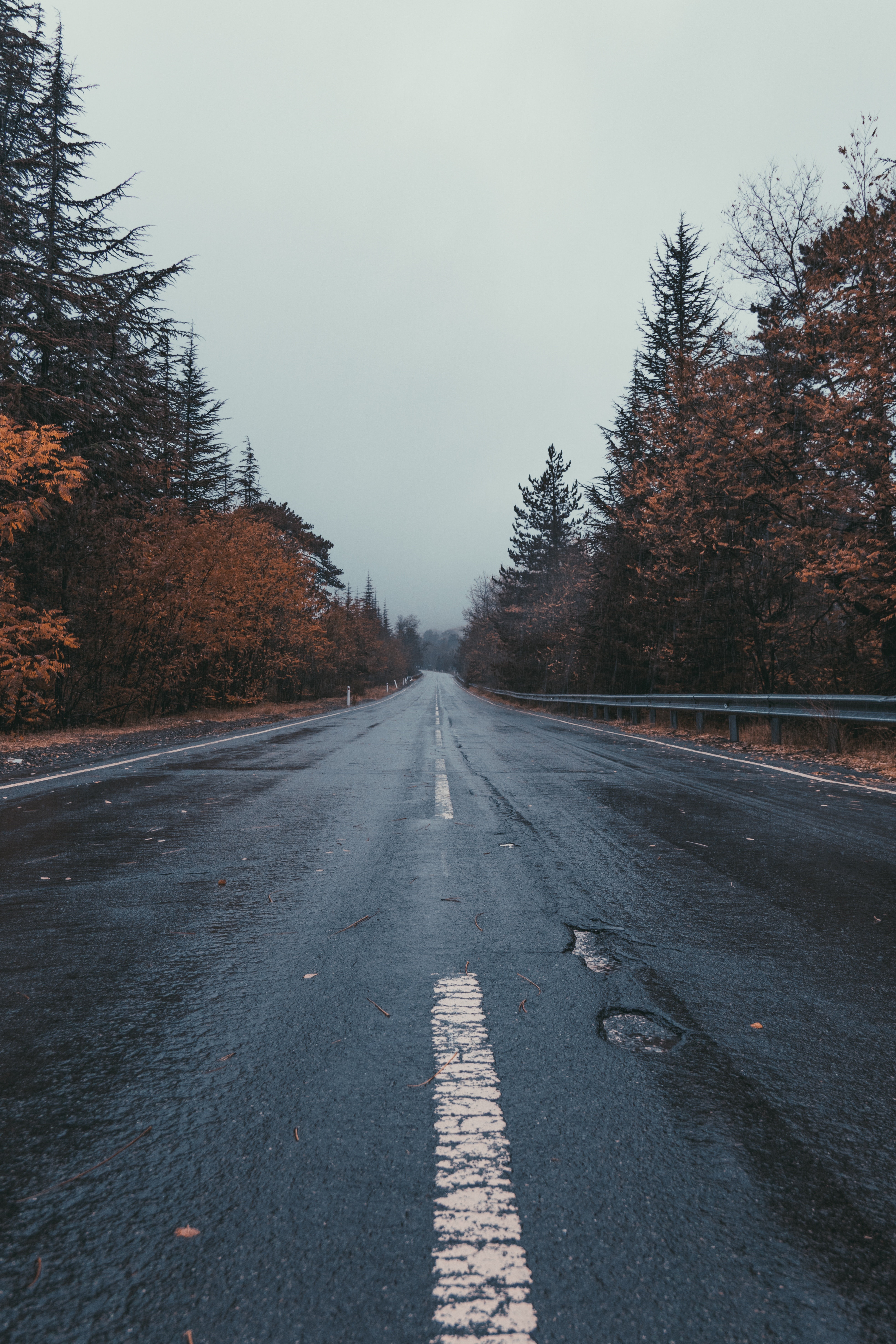 mainly cloudy, nature, trees, road, markup, overcast Smartphone Background