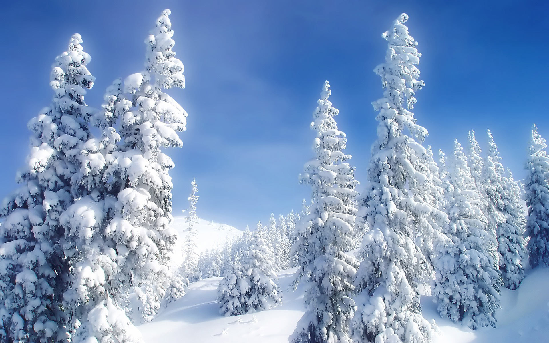 Téléchargez gratuitement l'image Hiver, Terre/nature sur le bureau de votre PC