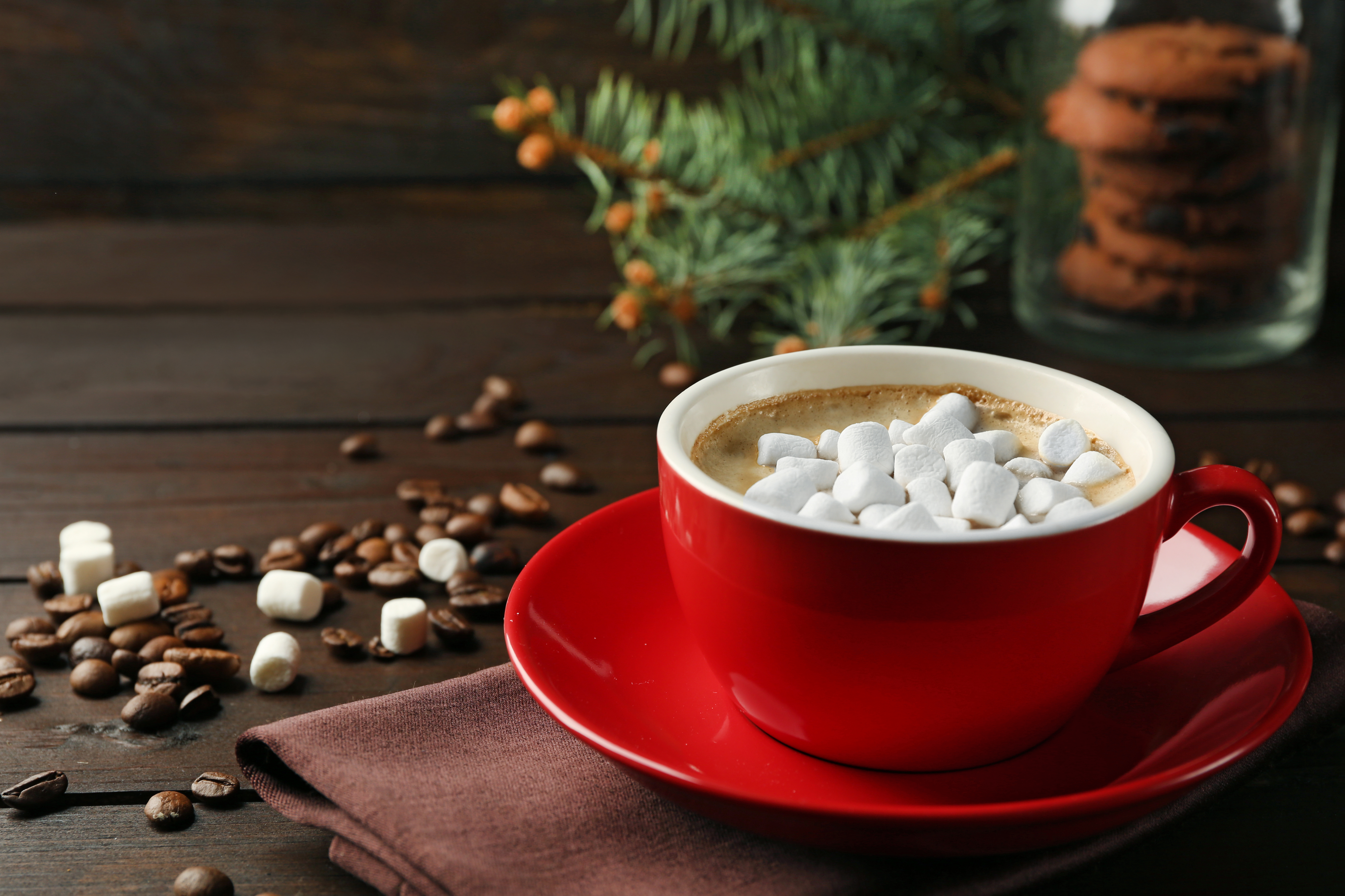 hot chocolate, marshmallow, food, coffee beans, cup