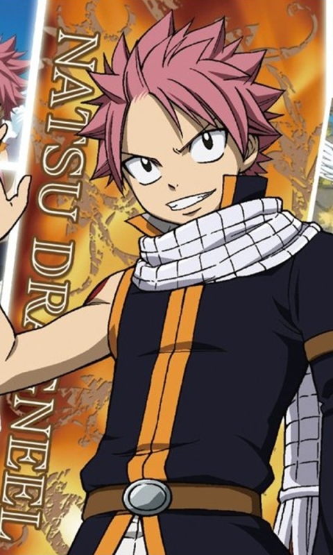 Download mobile wallpaper Anime, Fairy Tail, Natsu Dragneel, Gray Fullbuster, Happy (Fairy Tail) for free.