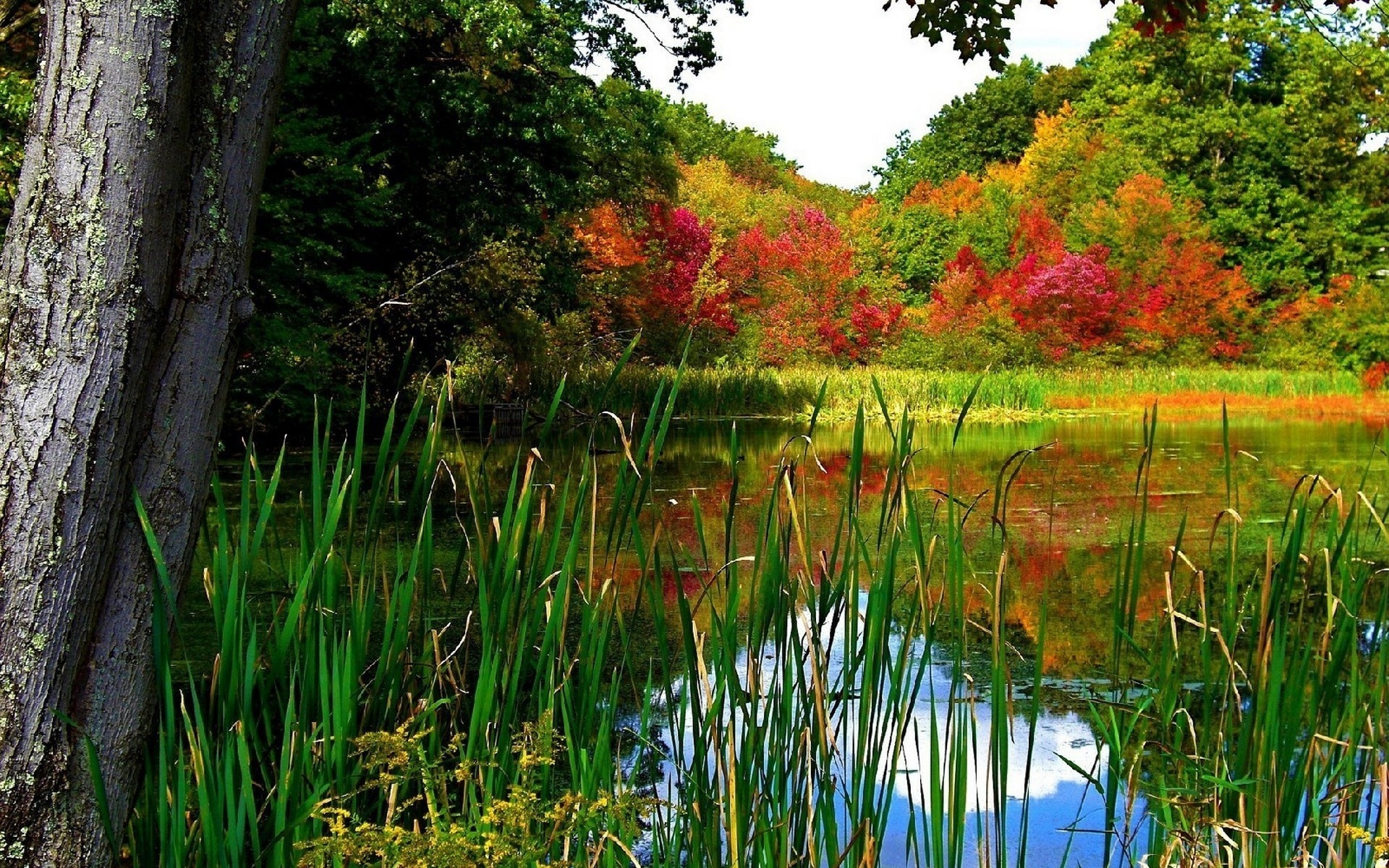 Téléchargez gratuitement l'image Paysage, Terre/nature sur le bureau de votre PC