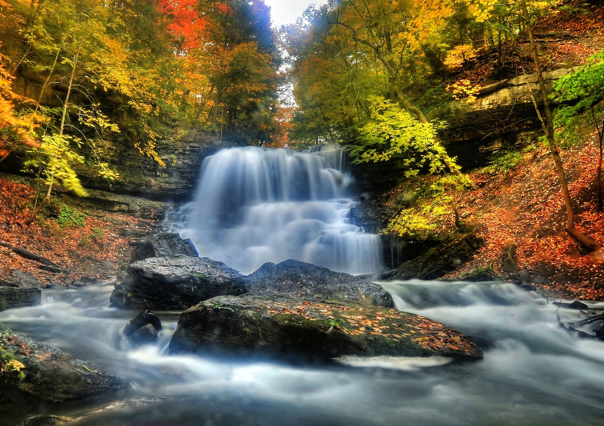 Скачать картинку Осень, Водопады, Водопад, Лес, Дерево, Земля/природа в телефон бесплатно.