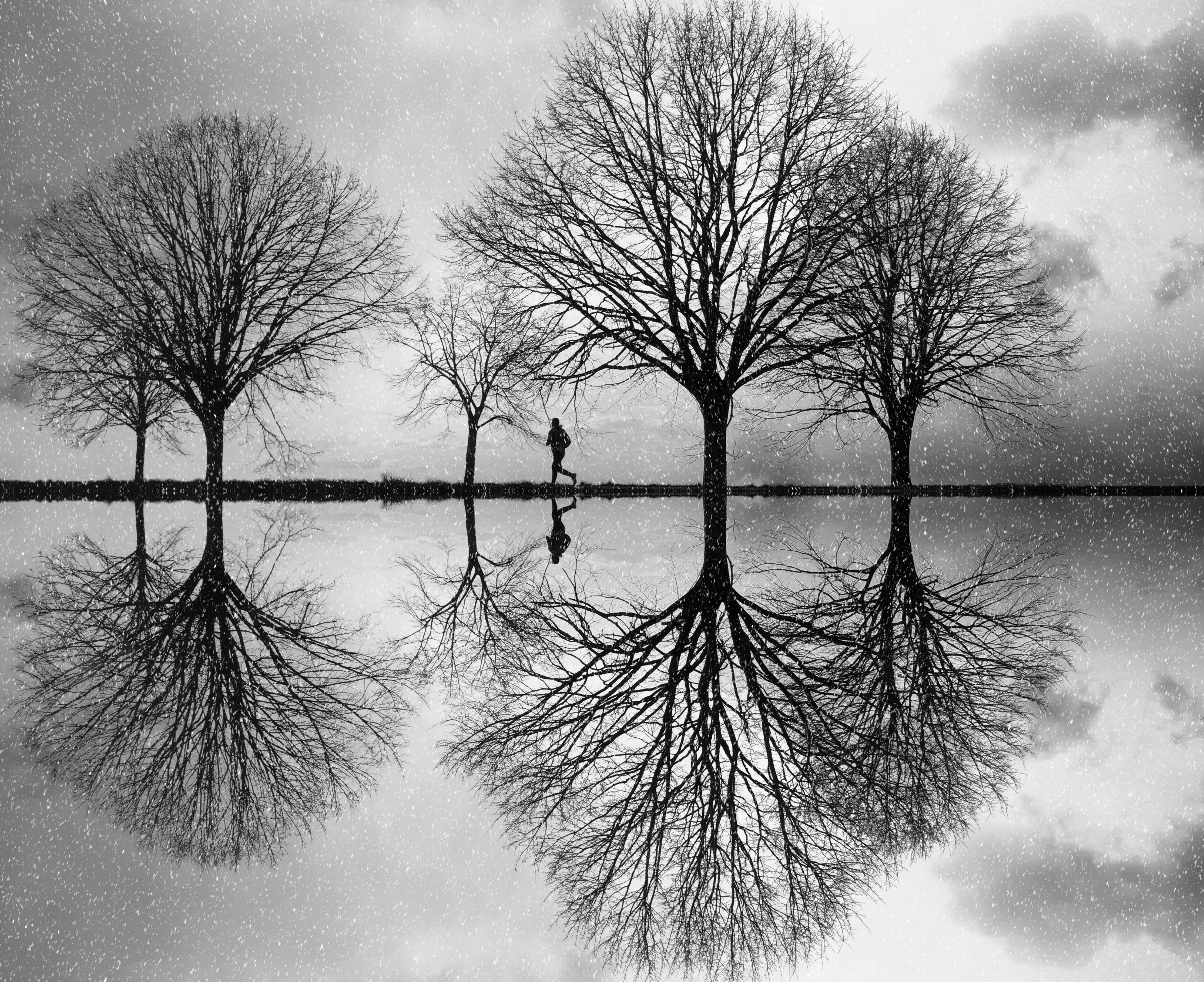 Download mobile wallpaper Reflection, Miscellaneous, Miscellanea, Chb, Water, Trees, Bw, Silhouette for free.