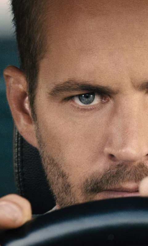 Download mobile wallpaper Fast & Furious, Paul Walker, Movie, Brian O'conner, Furious 7 for free.