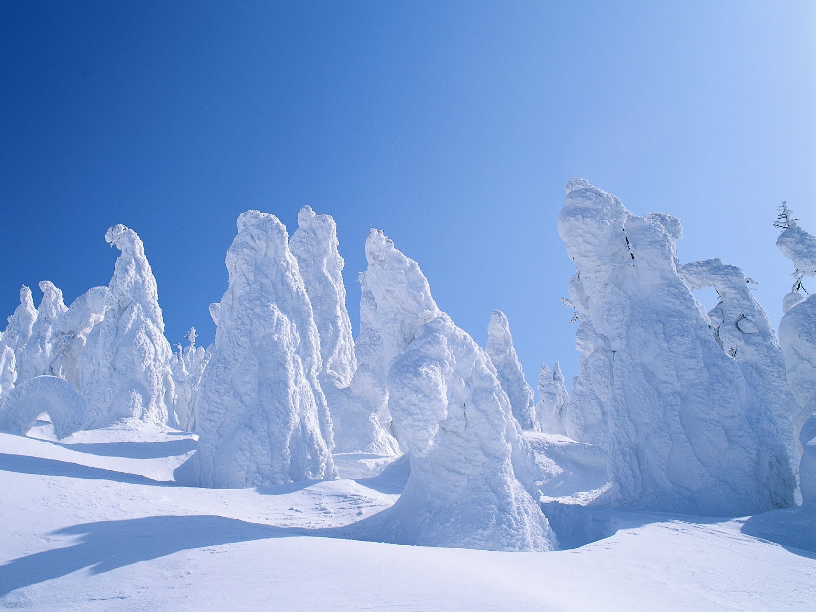 Baixar papel de parede para celular de Inverno, Natureza, Neve, Árvore, Terra/natureza, Frozen Uma Aventura Congelante gratuito.