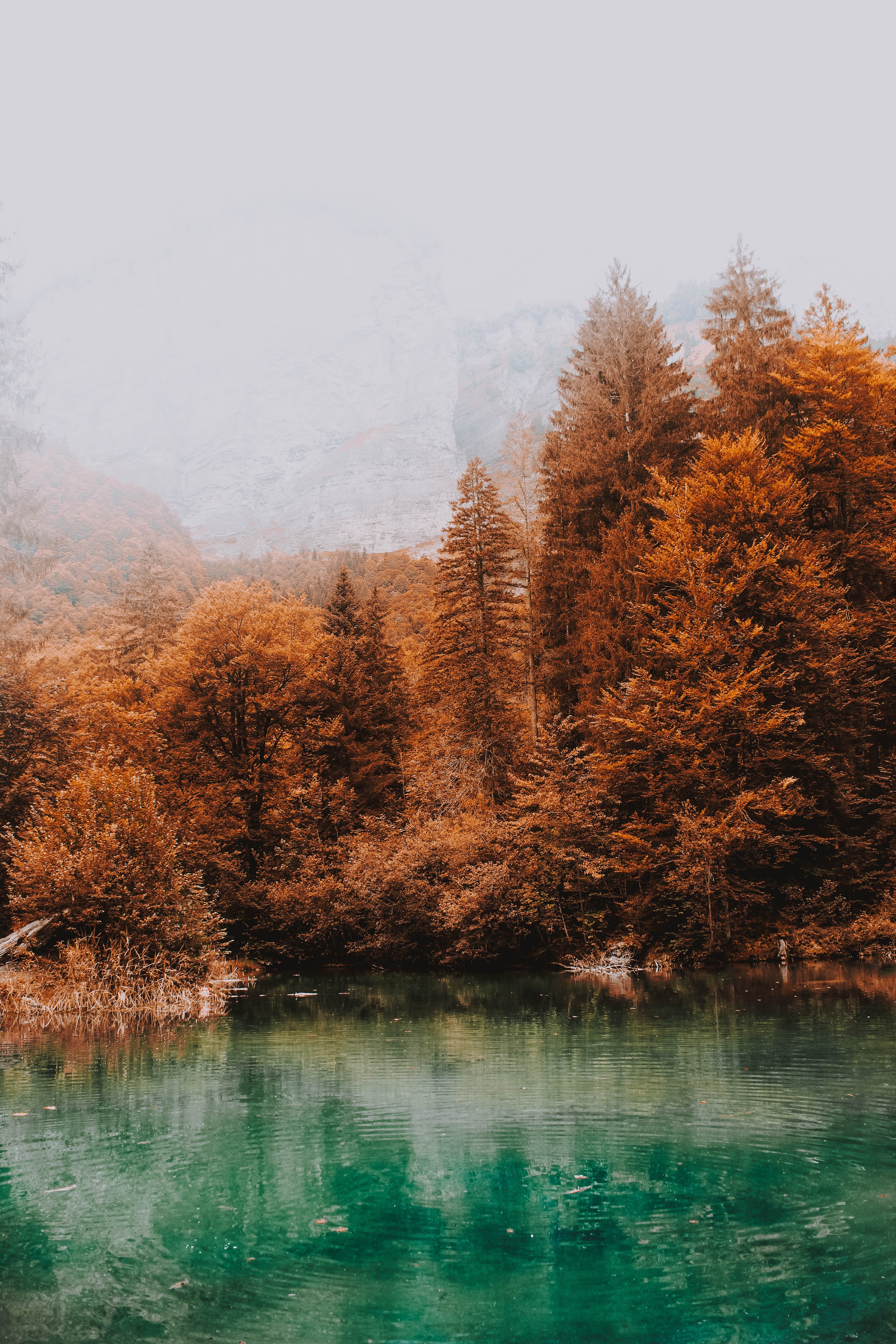 Download mobile wallpaper Nature, Trees, Fog, Autumn, Lake, Water for free.