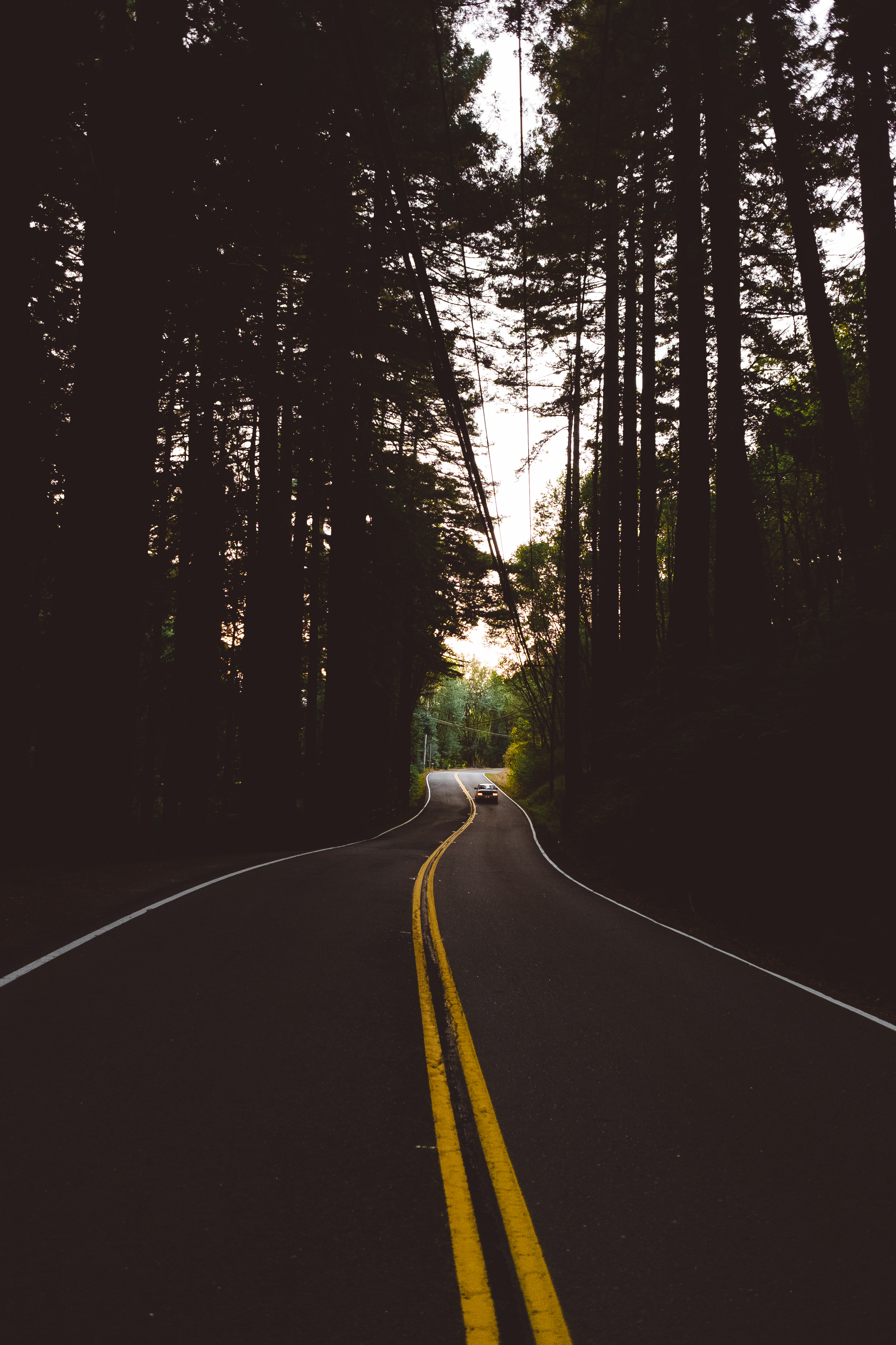 Free download wallpaper Road, Markup, Evening, Auto, Trees, Forest, Dark on your PC desktop