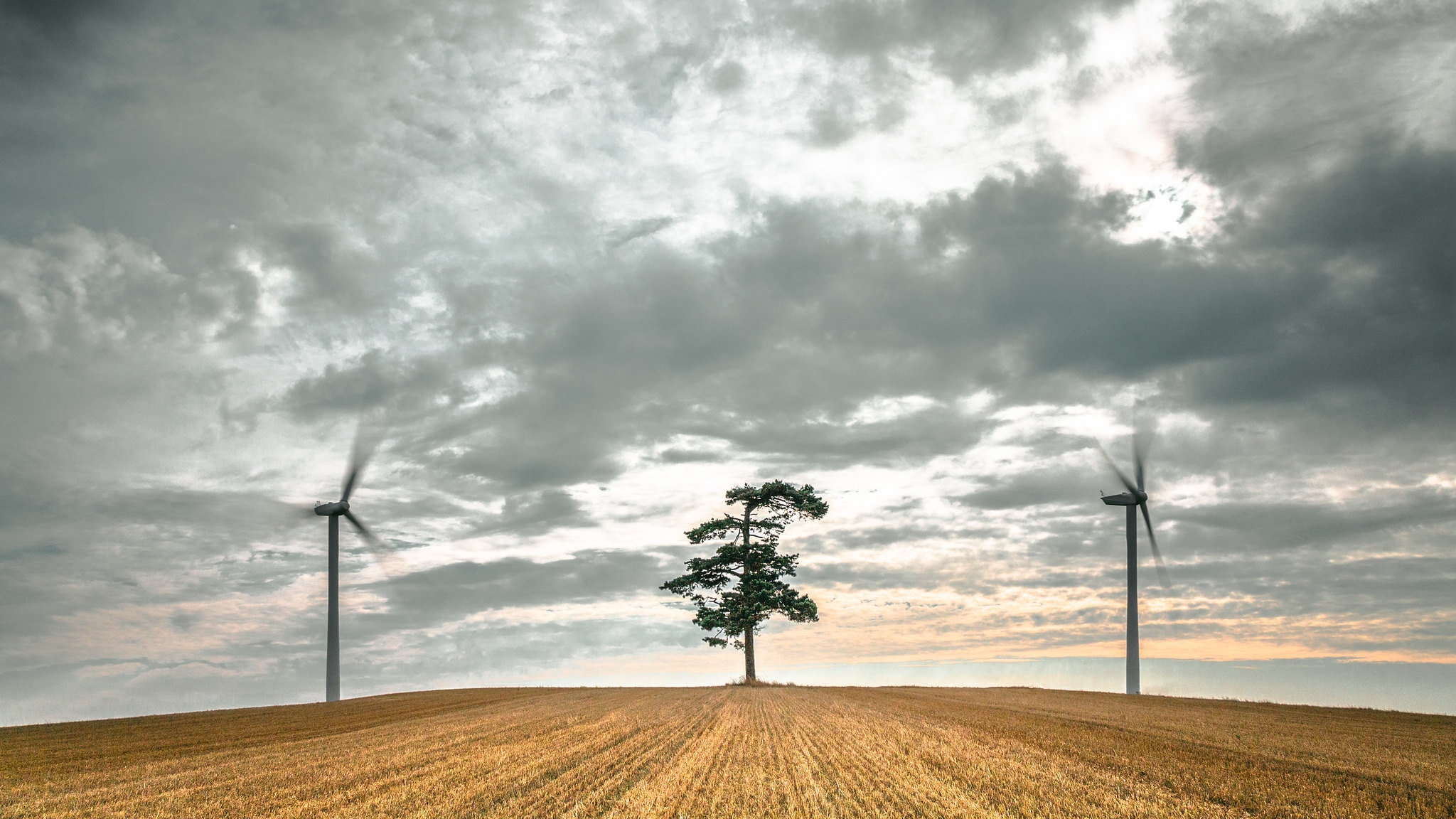 Download mobile wallpaper Tree, Field, Cloud, Wind Turbine, Man Made for free.