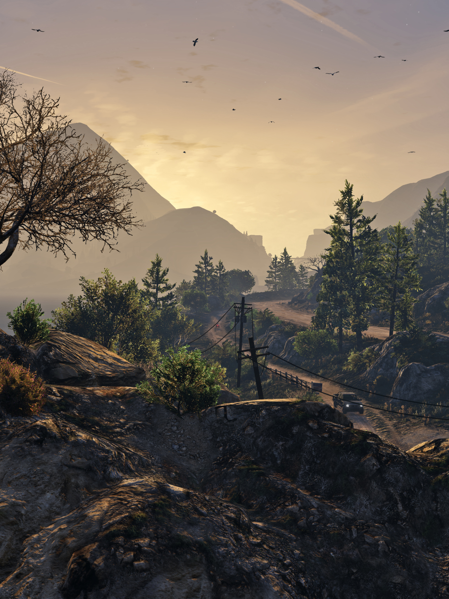 Free download wallpaper Road, Tree, Video Game, Grand Theft Auto, Grand Theft Auto V on your PC desktop