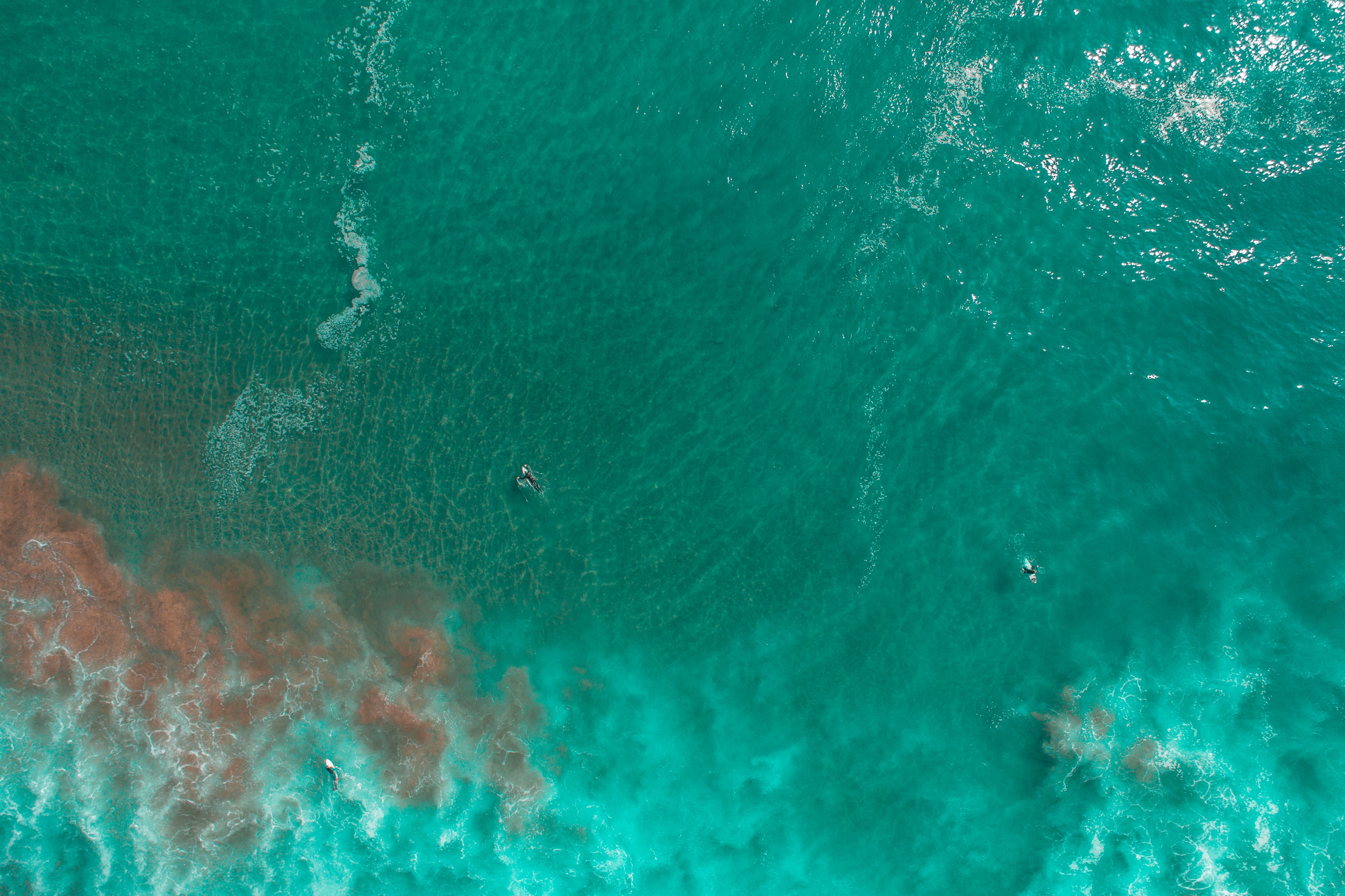 Download mobile wallpaper Ocean, Earth, Surfer for free.