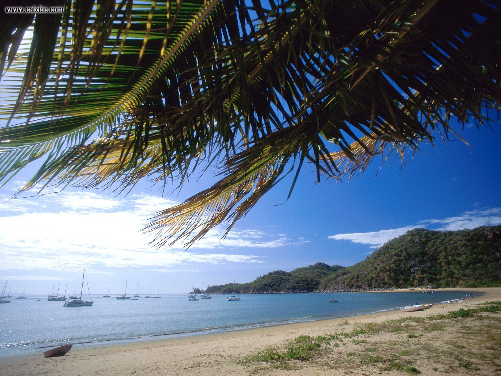 Laden Sie das Küste, Insel, Erde/natur-Bild kostenlos auf Ihren PC-Desktop herunter