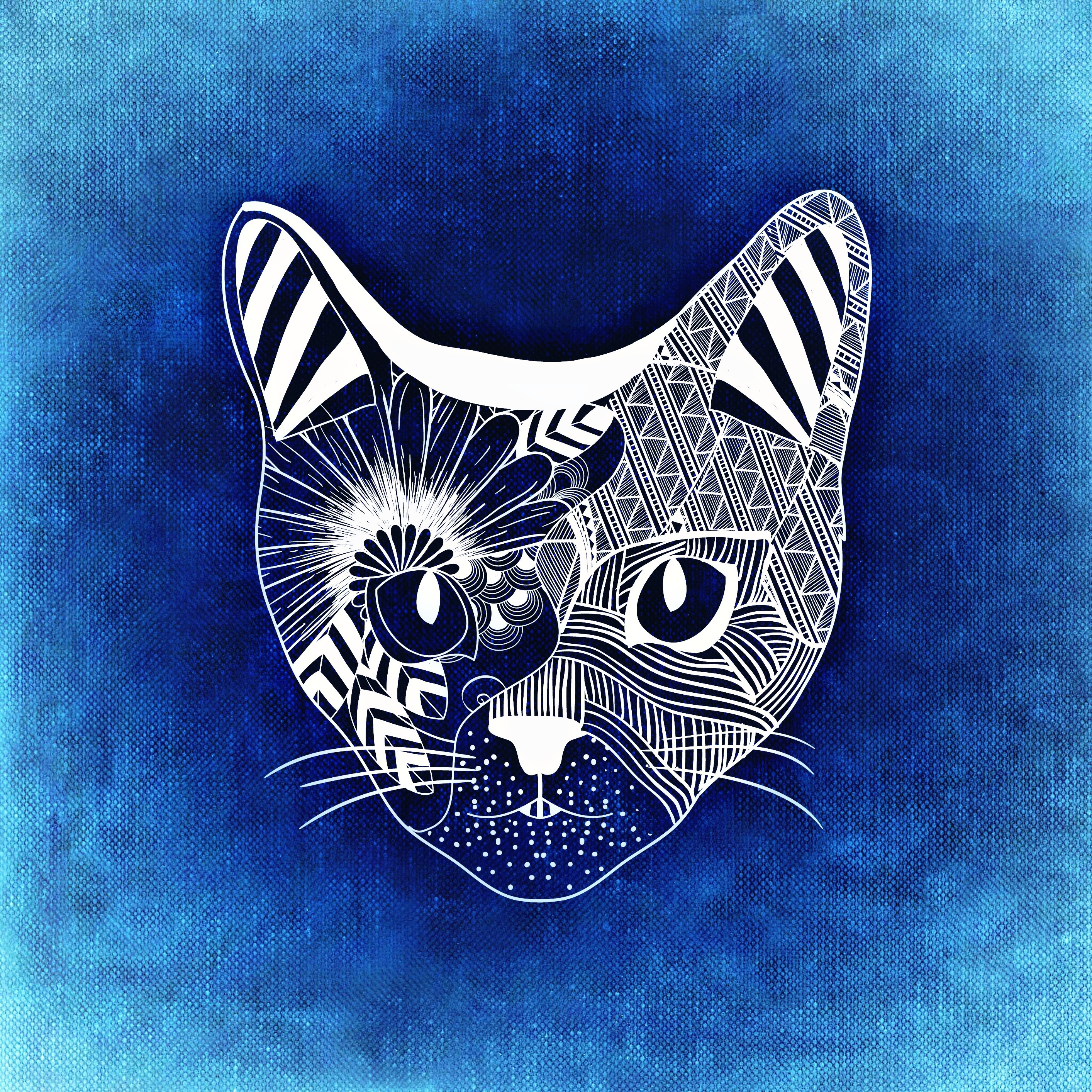 Free download wallpaper Muzzle, Cat, Patterns, Art on your PC desktop