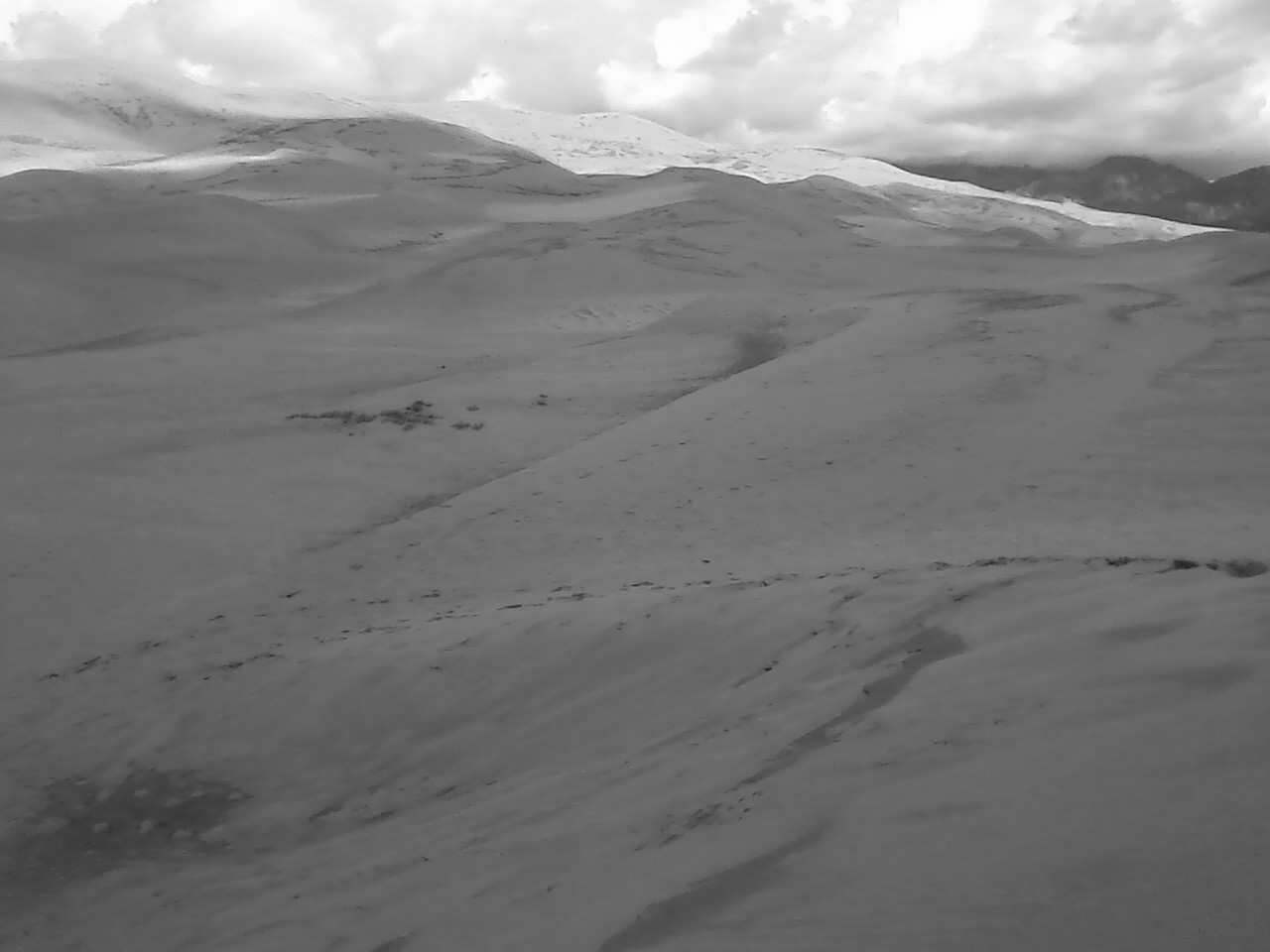 1440620壁紙のダウンロード地球, 荒野, コロラド, 砂丘, 砂-スクリーンセーバーと写真を無料で