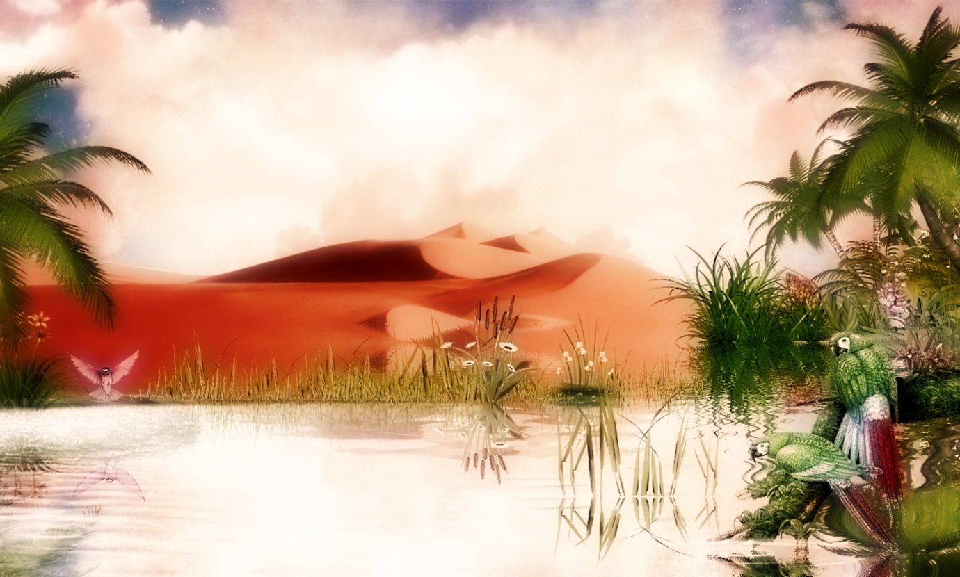 Download mobile wallpaper Landscape, Sunset, Desert, Flower, Bird, Evening, Artistic, Palm Tree, Peach (Color) for free.
