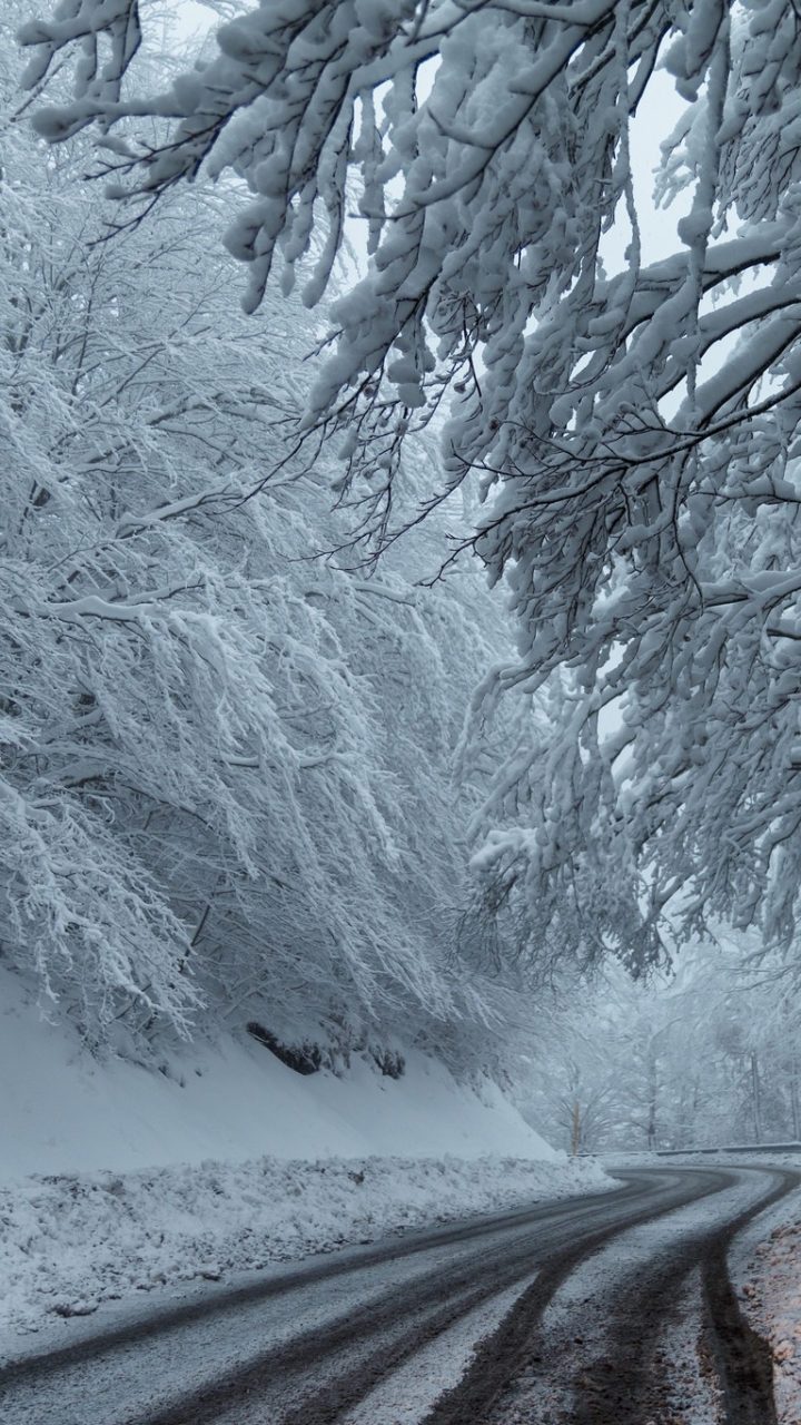 Скачать картинку Зима, Снег, Дорога, Дерево, Сделано Человеком в телефон бесплатно.