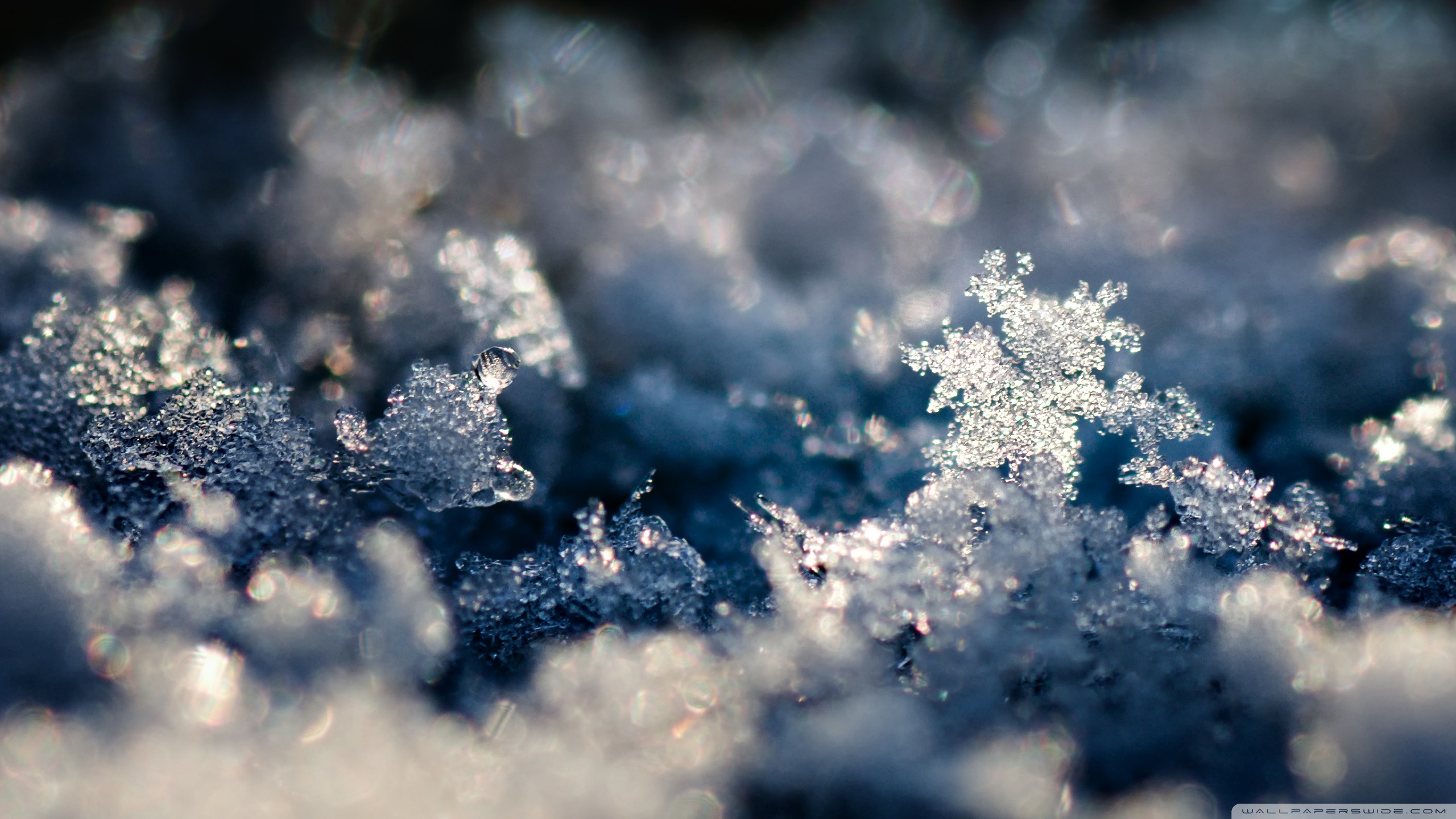 Téléchargez des papiers peints mobile Hiver, Photographie gratuitement.