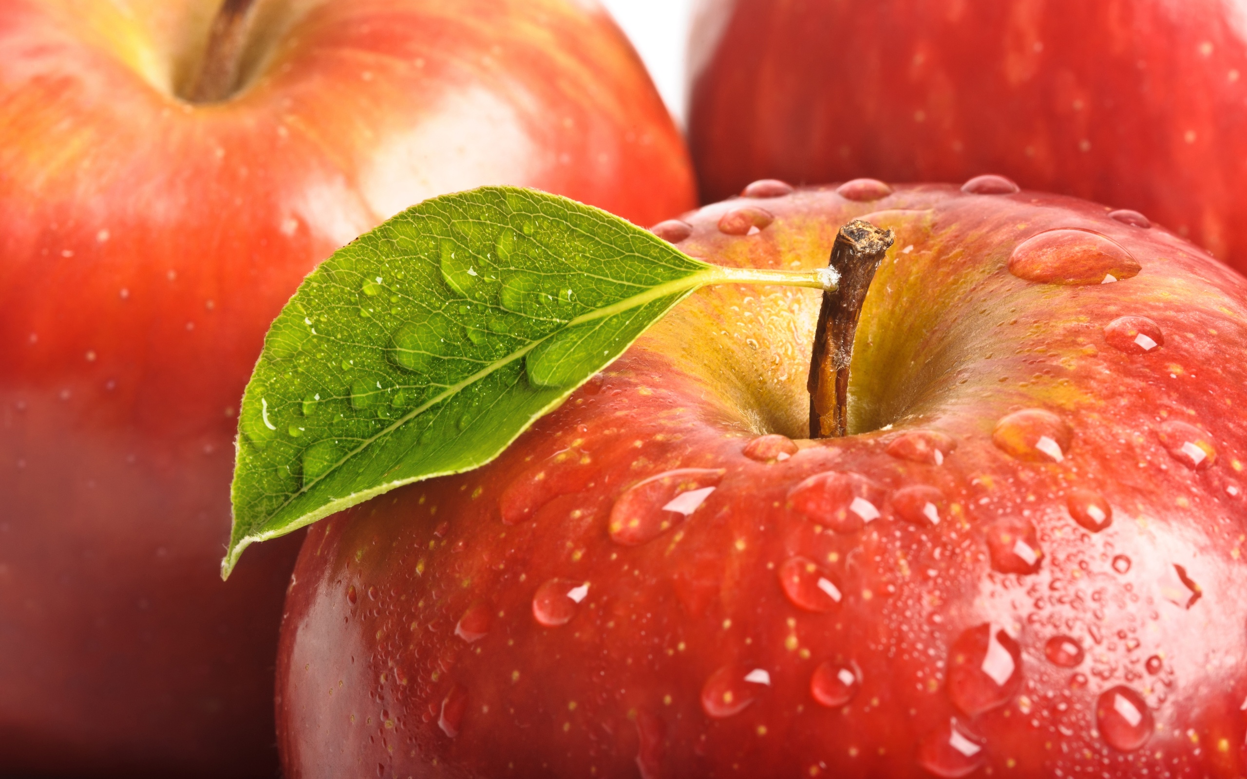Handy-Wallpaper Früchte, Nahrungsmittel, Apfel kostenlos herunterladen.