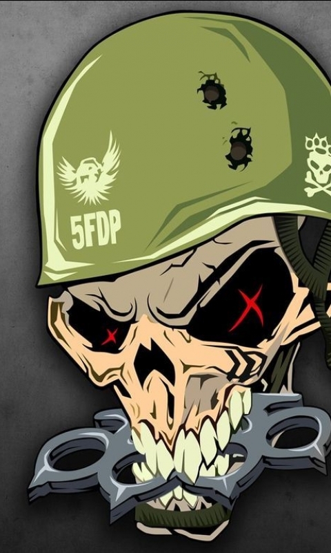 Download mobile wallpaper Music, Skull, Five Finger Death Punch for free.