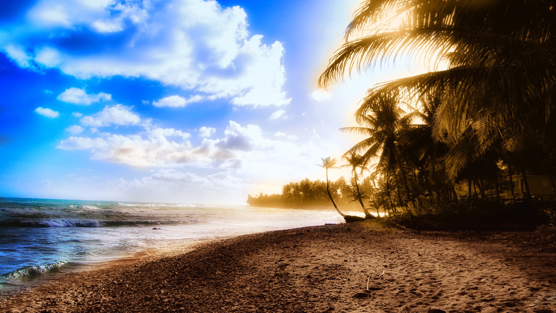 Скачать картинку Вода, Пляж, Дерево, Облако, Земля/природа в телефон бесплатно.