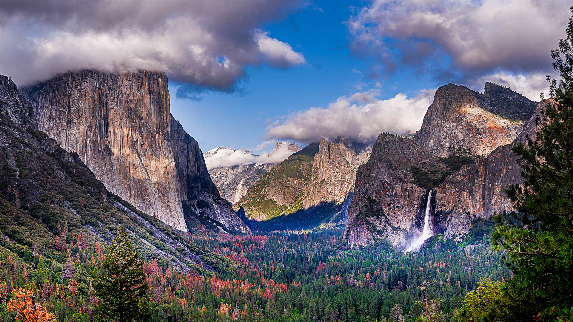 Téléchargez des papiers peints mobile Canyon, Cascades, Montagne, Forêt, Arbre, Falaise, Parc National De Yosemite, Terre/nature, Chûte D'eau gratuitement.