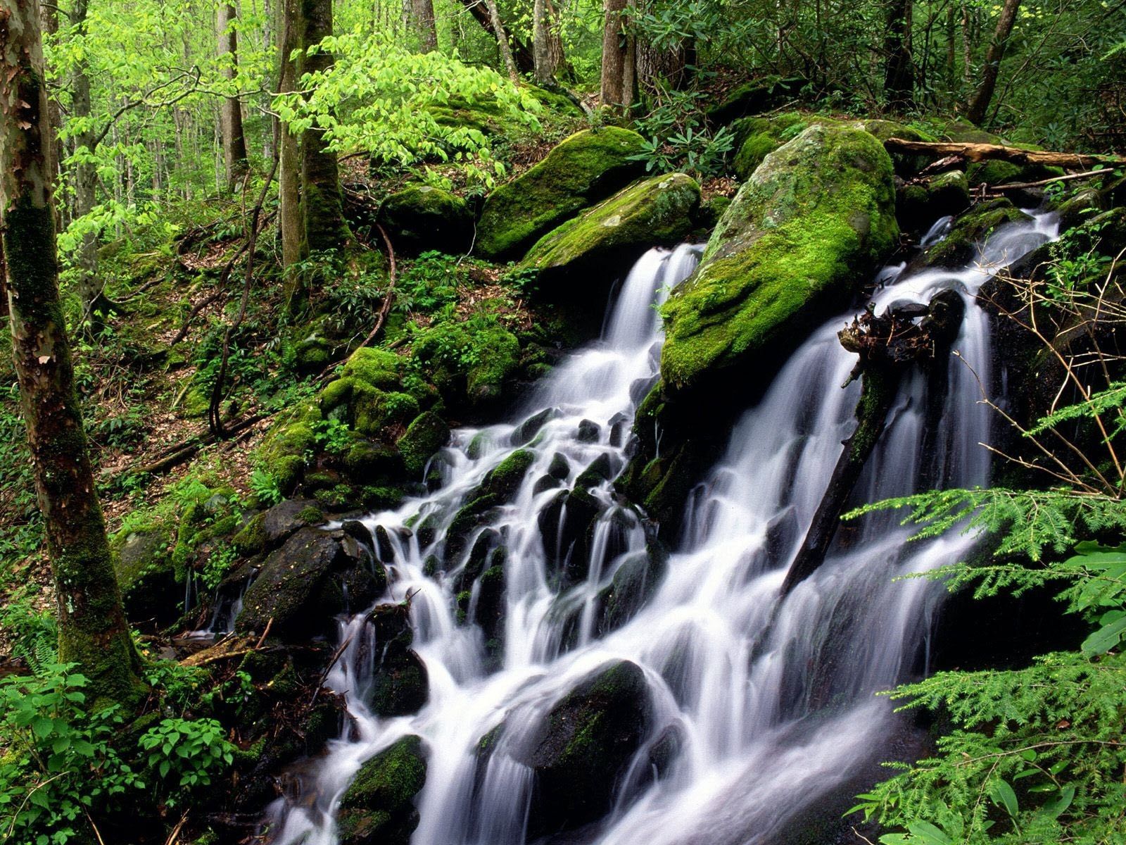 105323 descargar imagen cascada, naturaleza, stones, cascadas, verde, bosque, musgo: fondos de pantalla y protectores de pantalla gratis