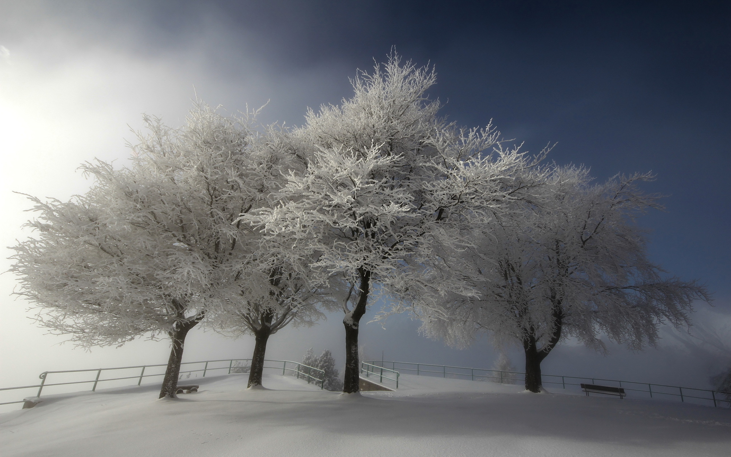 Download mobile wallpaper Winter, Snow, Tree, Fence, Photography for free.
