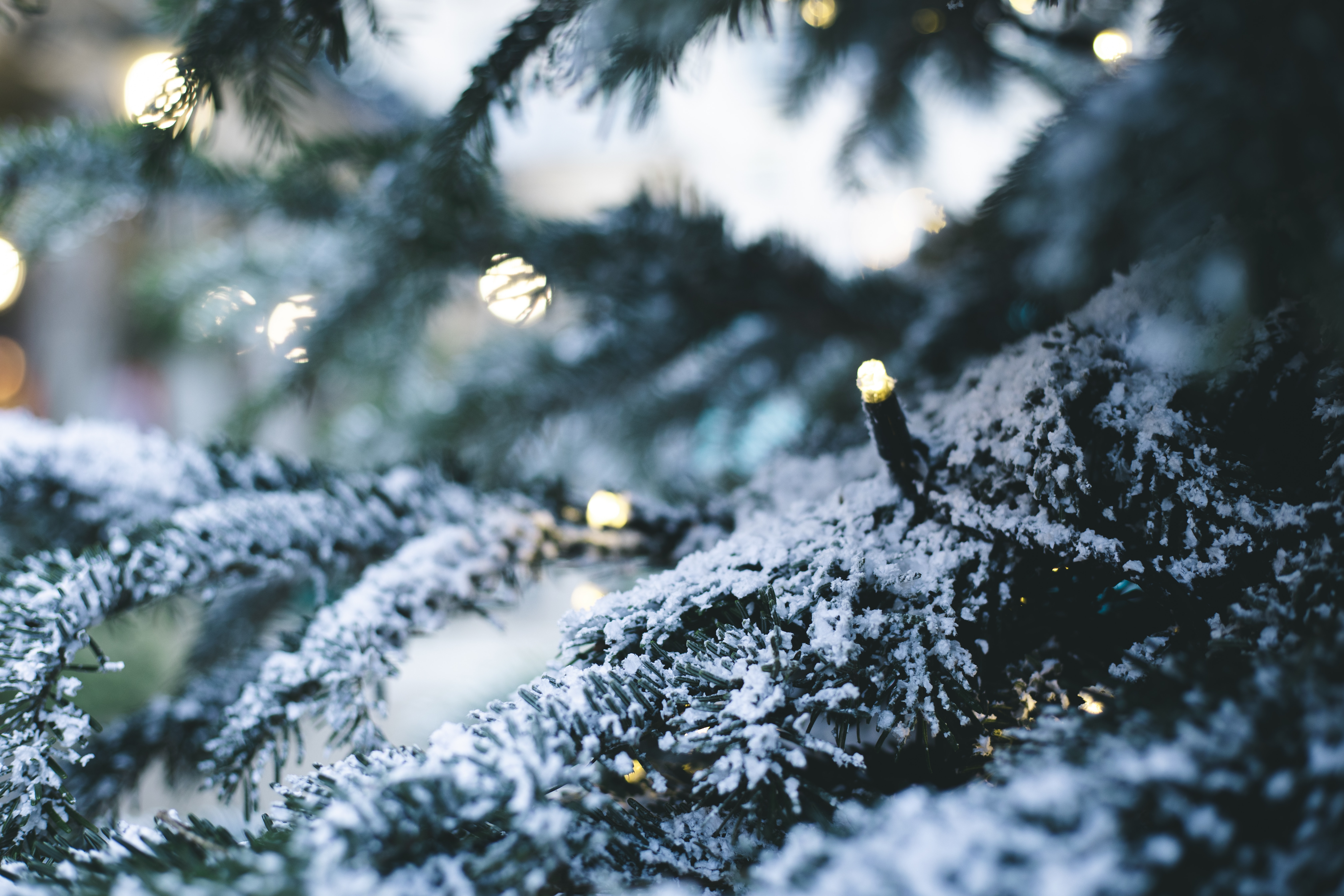 Handy-Wallpaper Schnee, Garland, Winter, Neues Jahr, Girlande, Feiertage, Neujahr, Weihnachtsbaum kostenlos herunterladen.