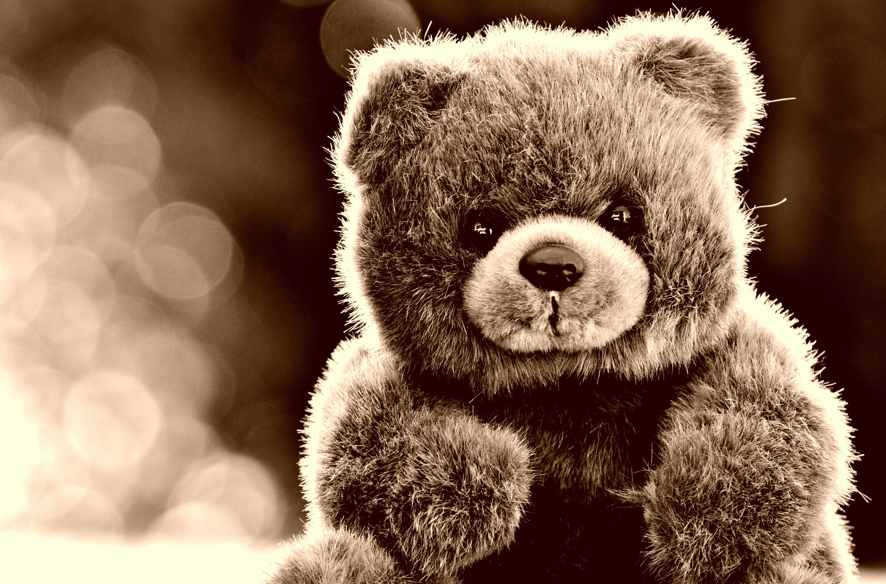 teddy bear, glare, miscellanea, miscellaneous, toy