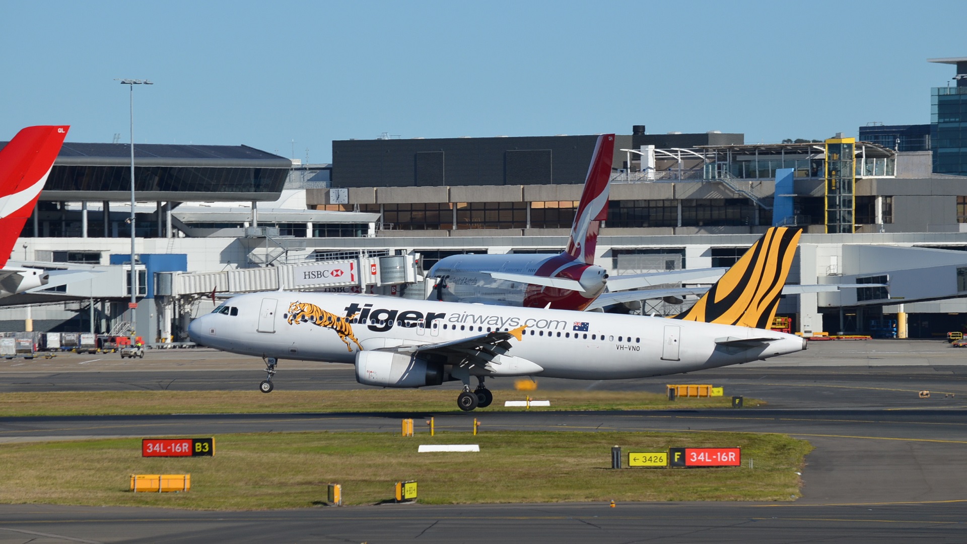 vehicles, airbus a320, airbus, aircraft, airplane, airport, photography, sydney, tiger airways
