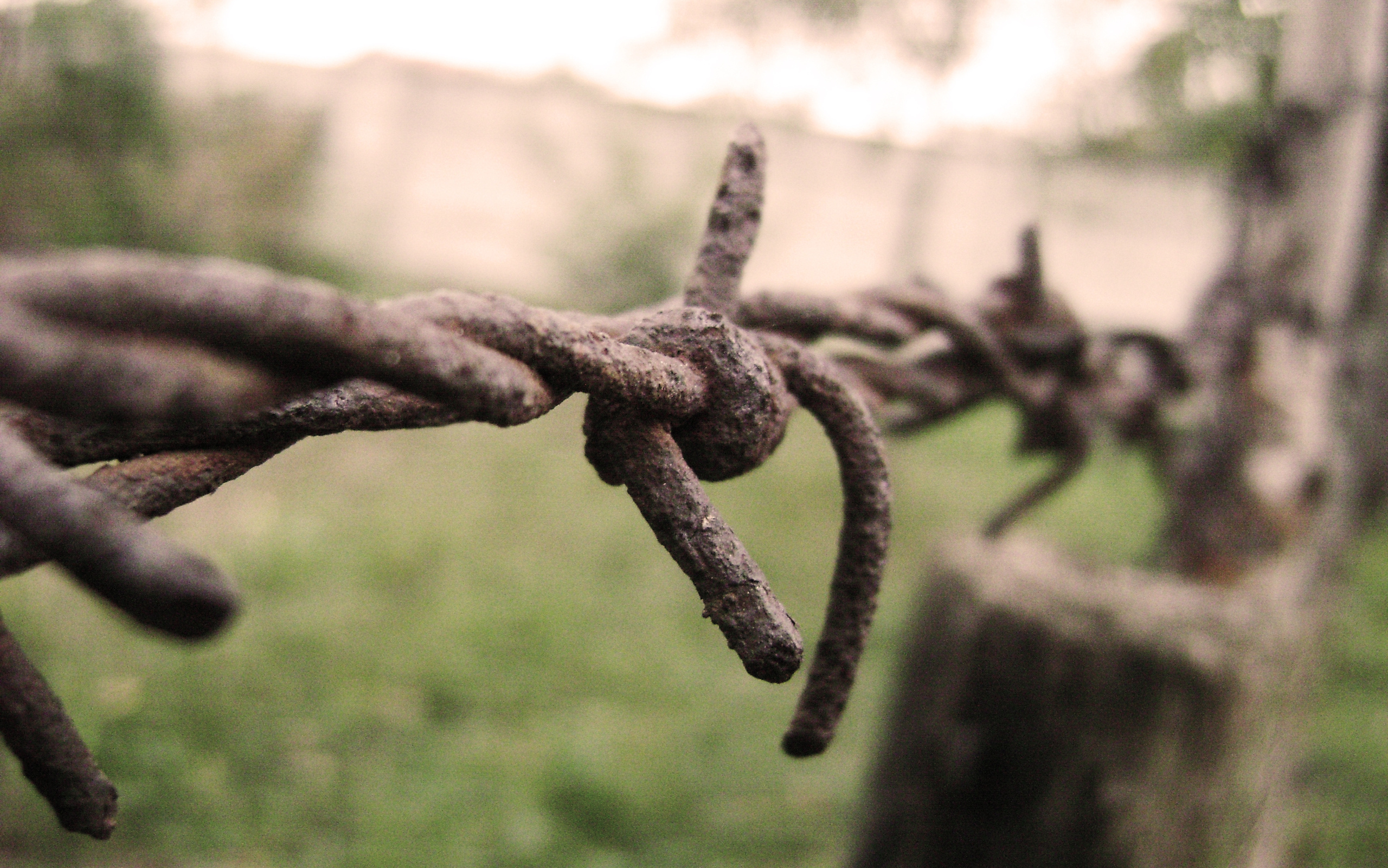 man made, barb wire