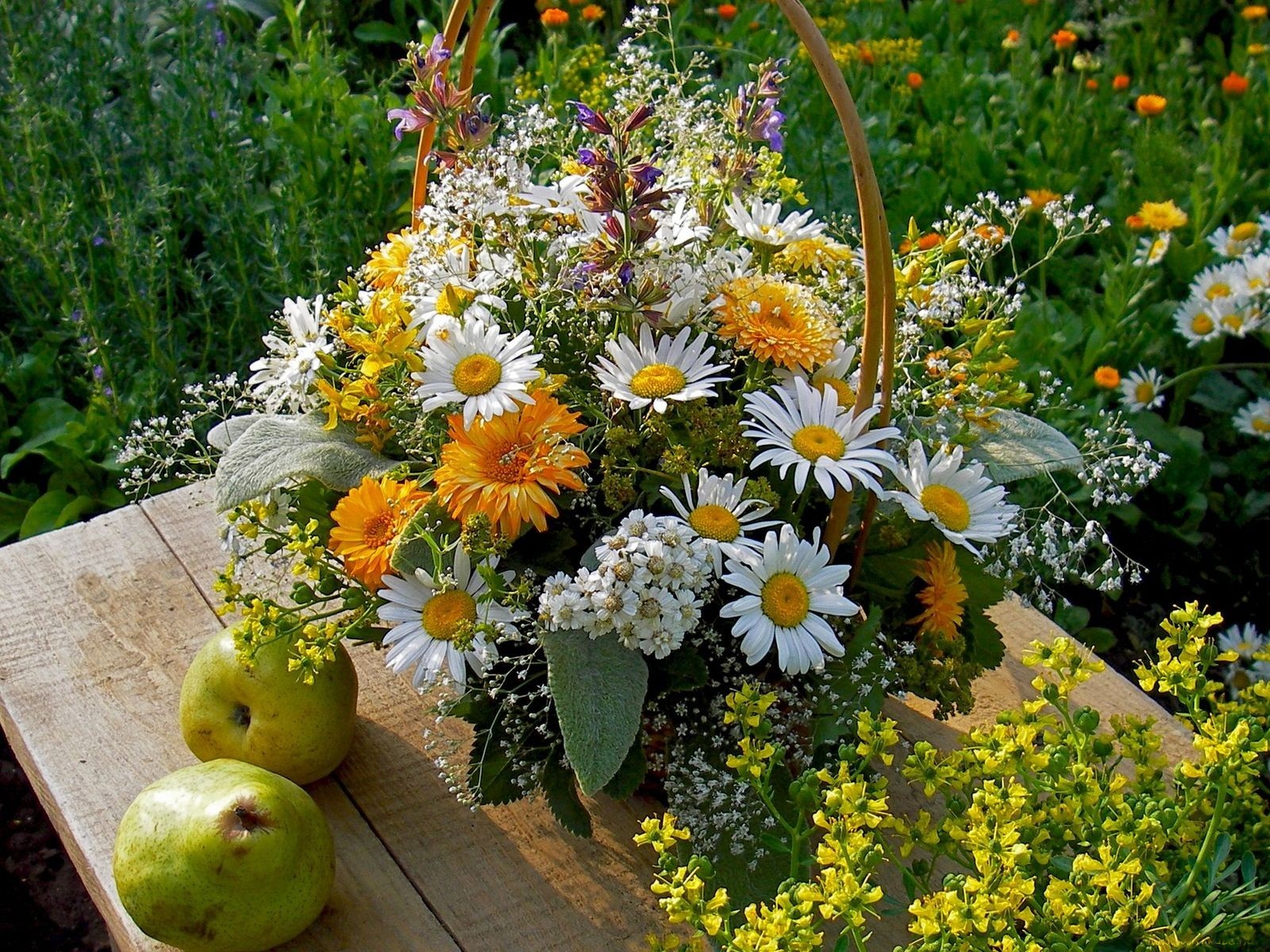 Download mobile wallpaper Flower, Bouquet, Basket, Spring, Daisy, Photography, Pear, Man Made, Baby's Breath for free.
