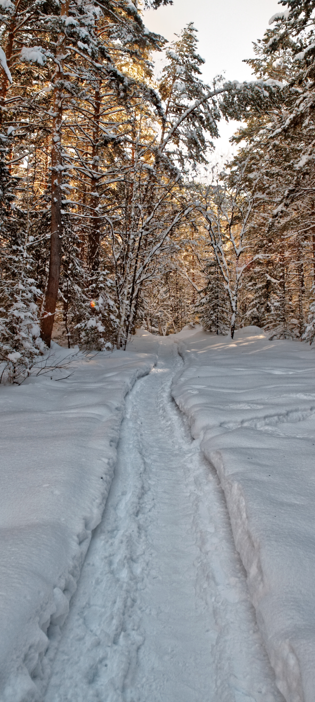 Handy-Wallpaper Winter, Schnee, Pfad, Weg, Erde/natur kostenlos herunterladen.