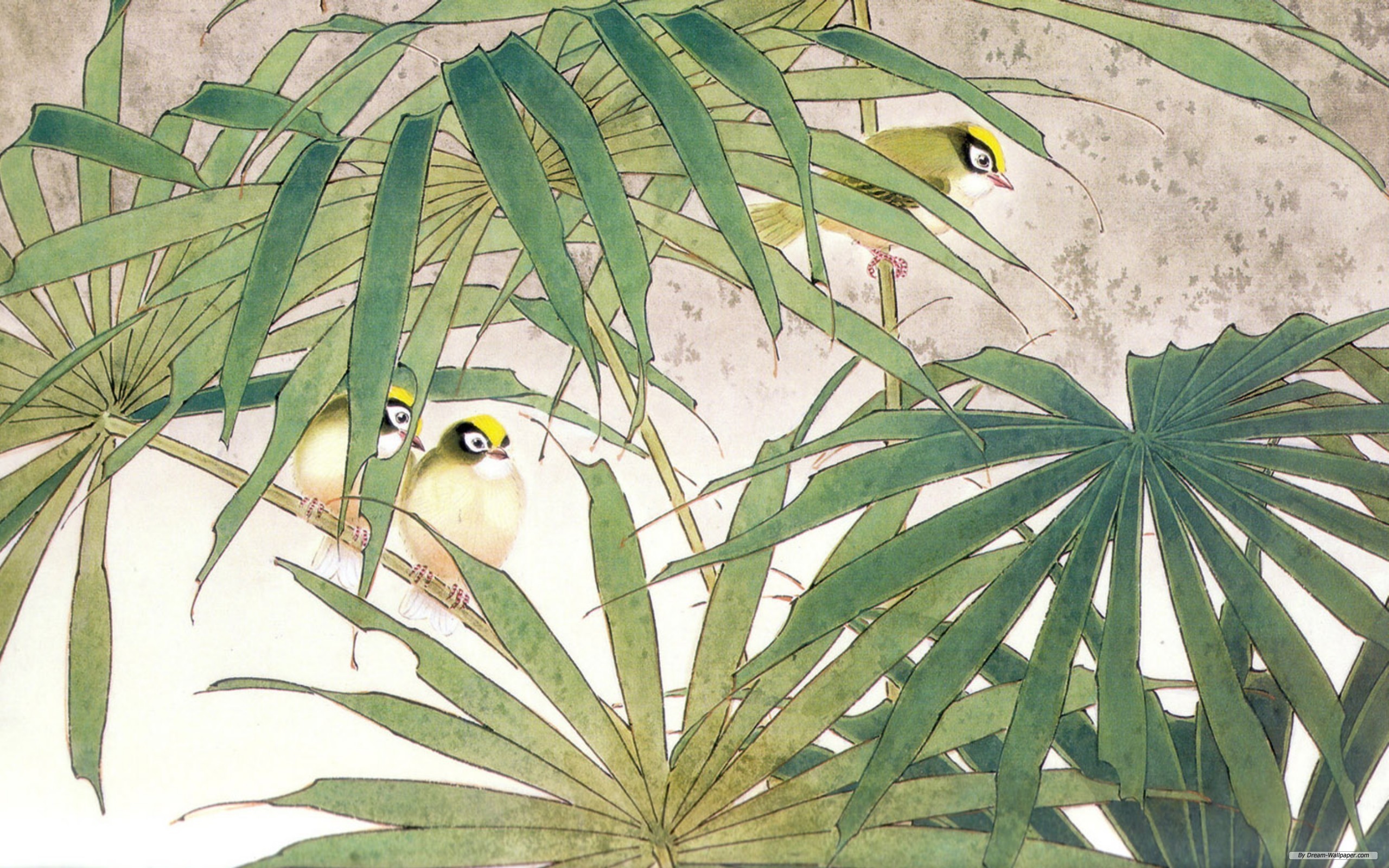 Téléchargez des papiers peints mobile Animaux, Oiseau, Des Oiseaux gratuitement.